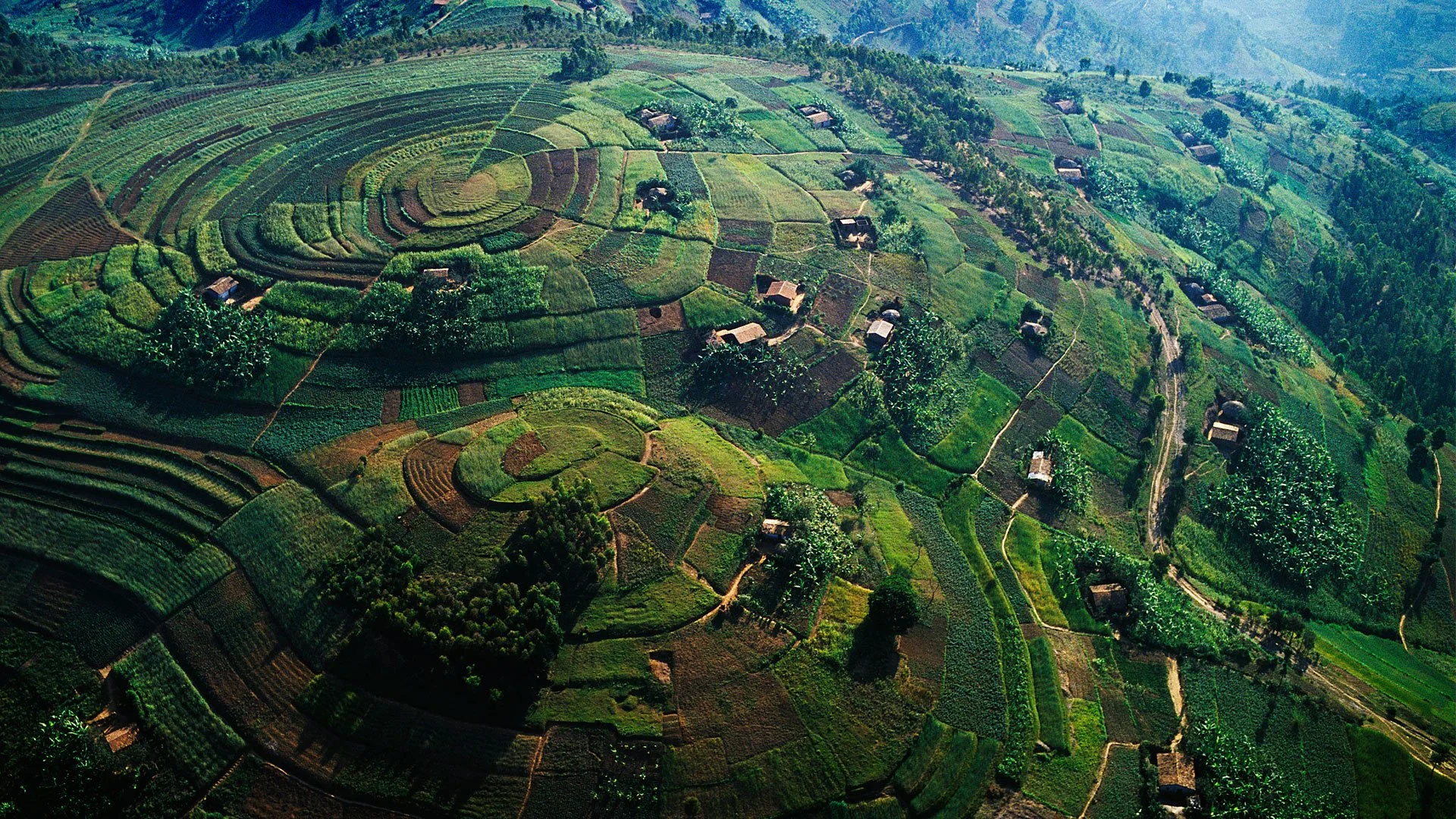 Aerial view of terraced green fields and small houses on a hilly landscape.