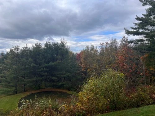 What does it take to really make change?