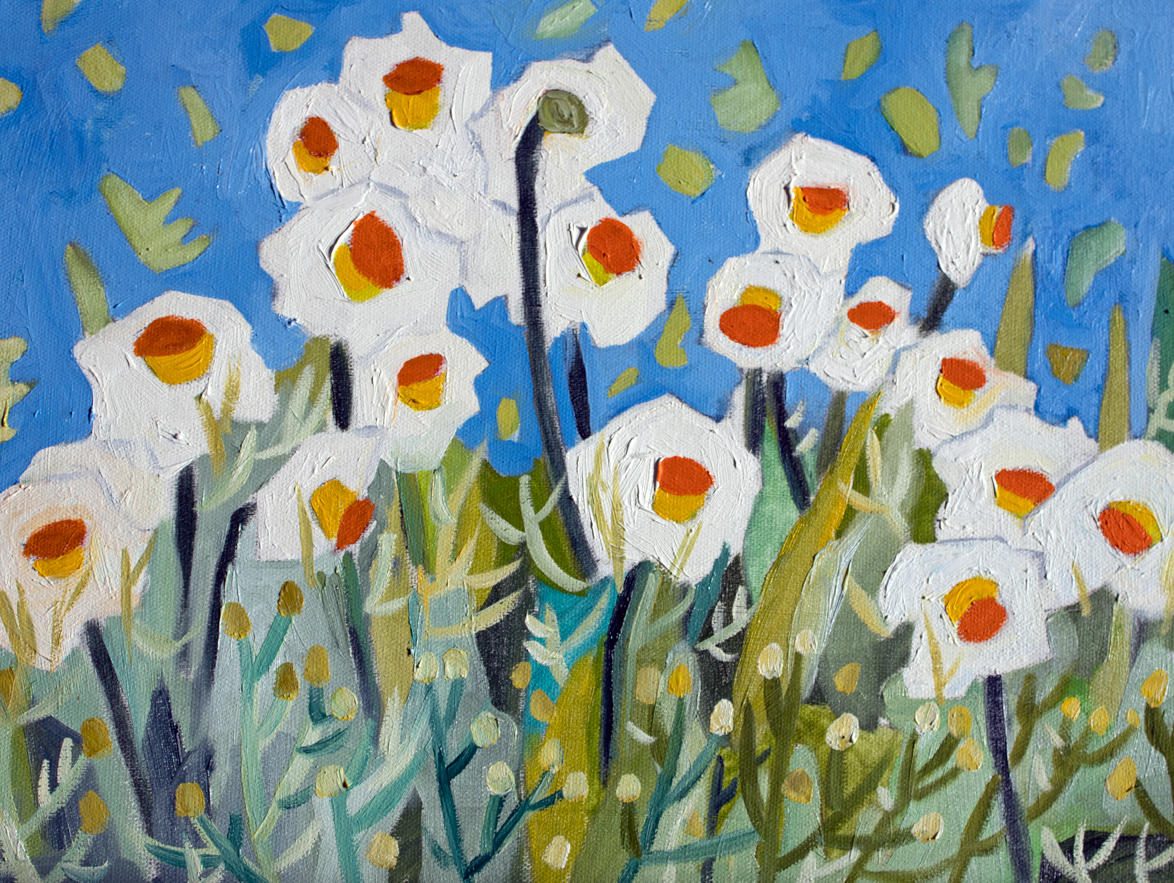 Daffodils on Argonne.png