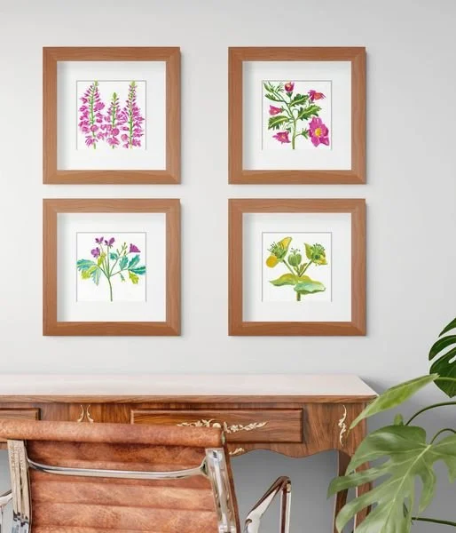 red fox, mrs robs bonnet, wild geranium, chinese foxglove, .jpg
