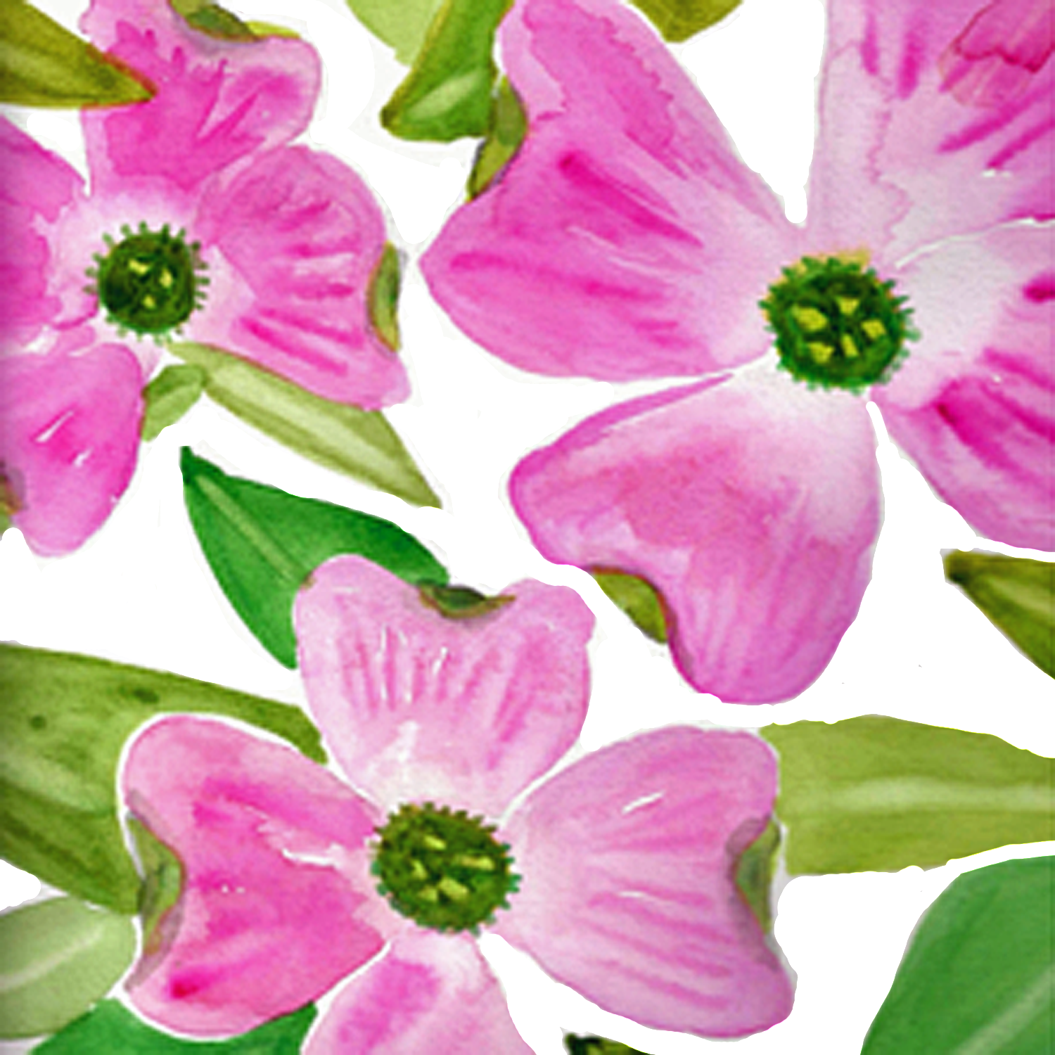 Pink Dogwood, 5 x 5"