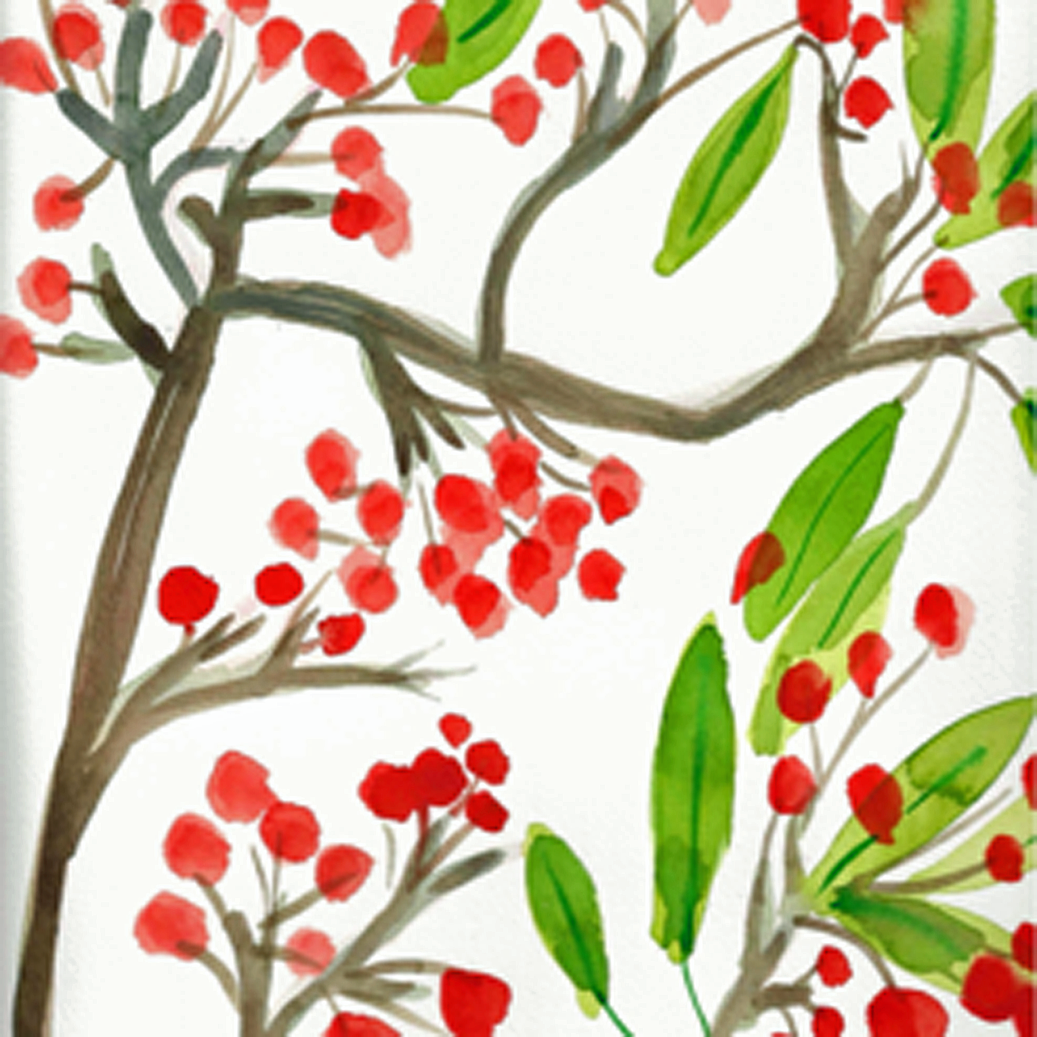 red berries no.2.png
