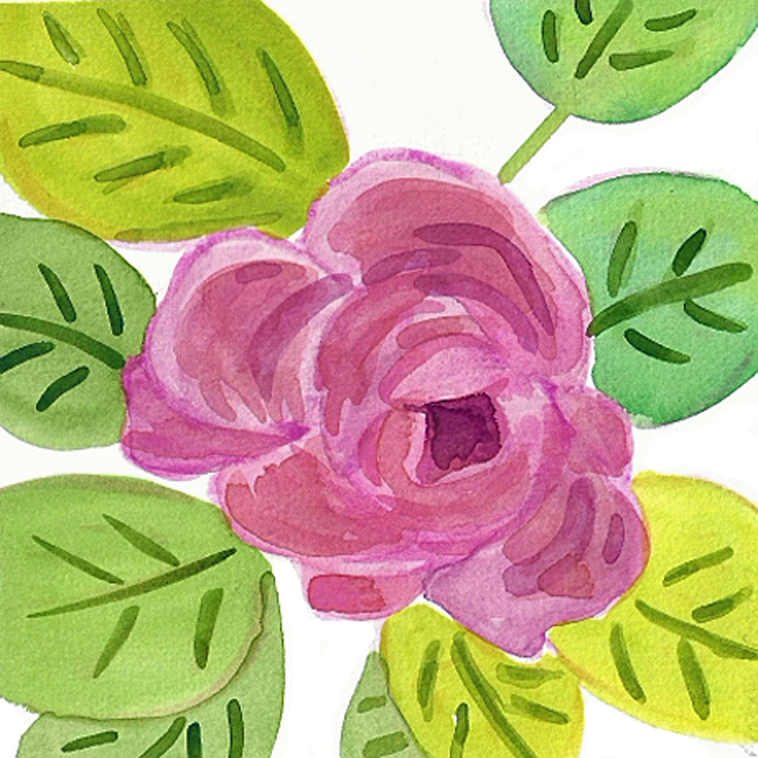 Pink Rose, 5 x 5"