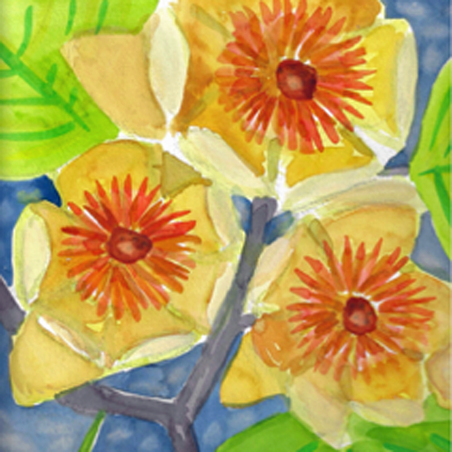 three tulip poplar blooms.png