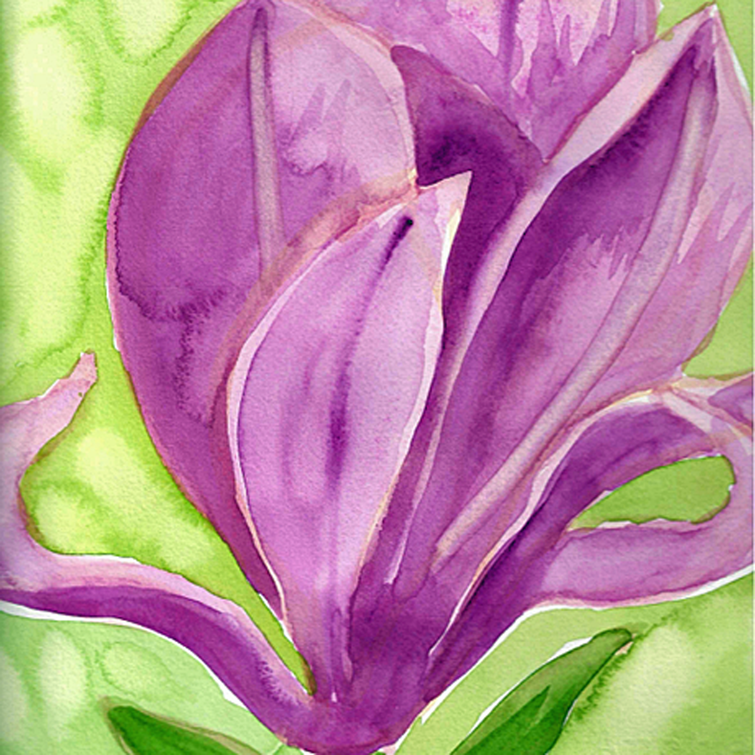 Pink Magnolia No. 2, 5 x 5"