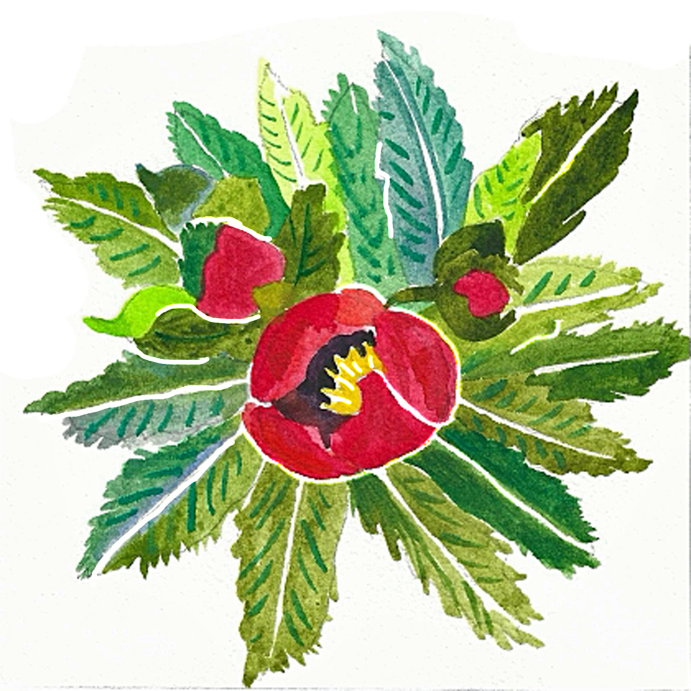 Lenten Rose, 5" x 5"
