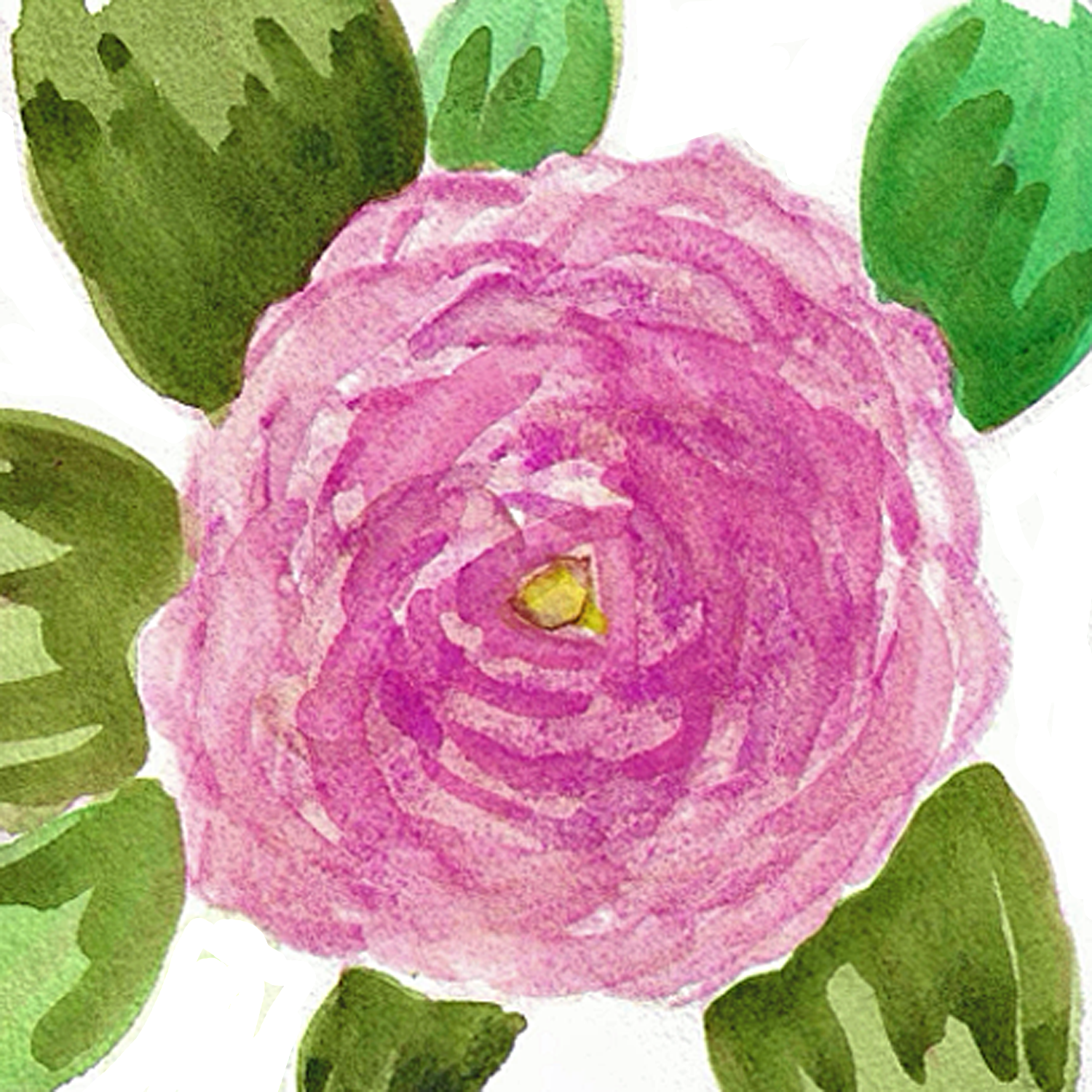 Pink Rose No. 2, 5 x 5"