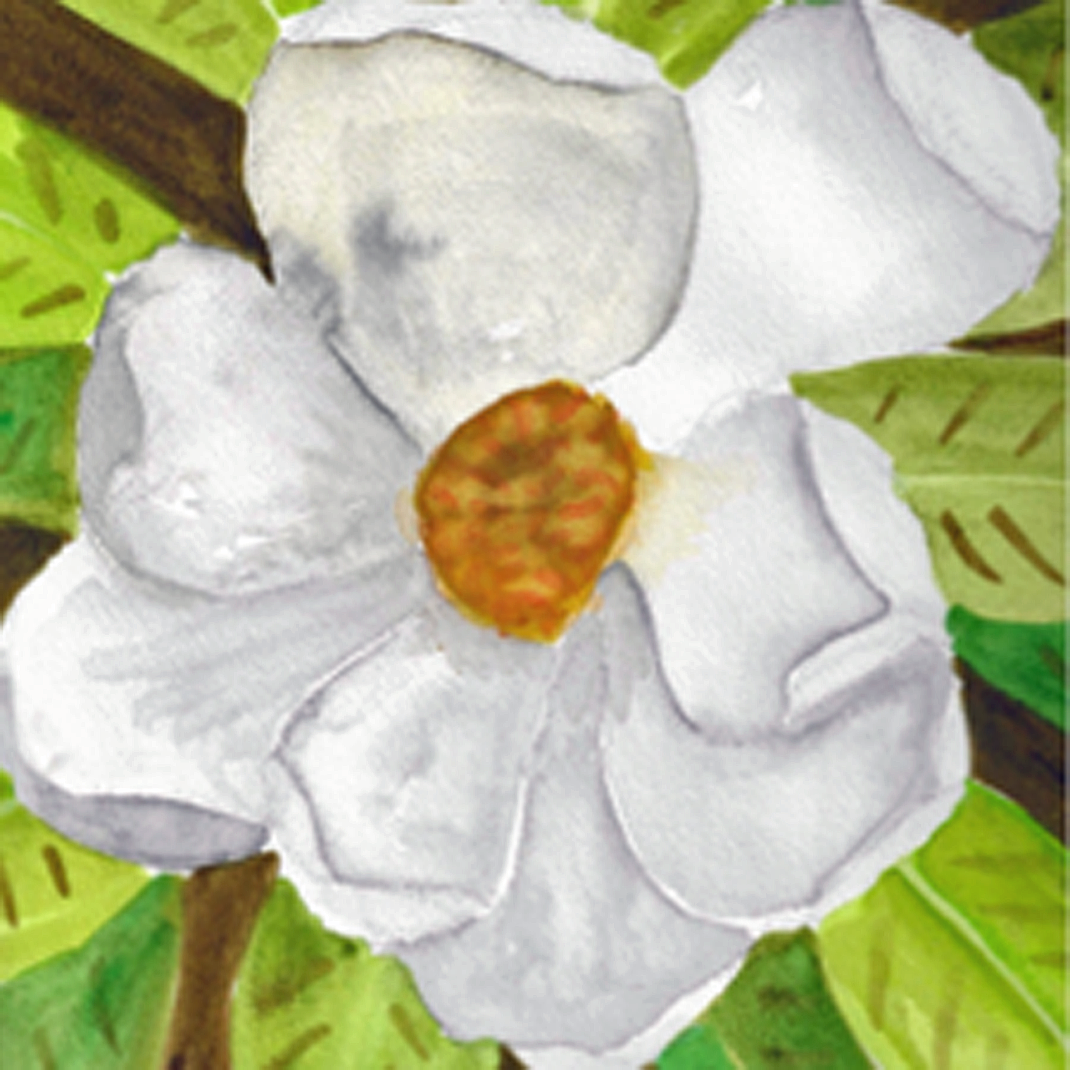 gardenia on green.png