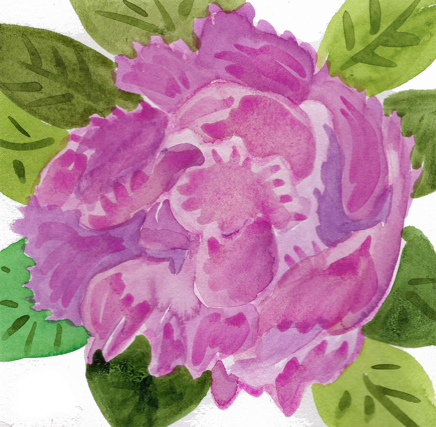 Pink Peony, 5 x 5"