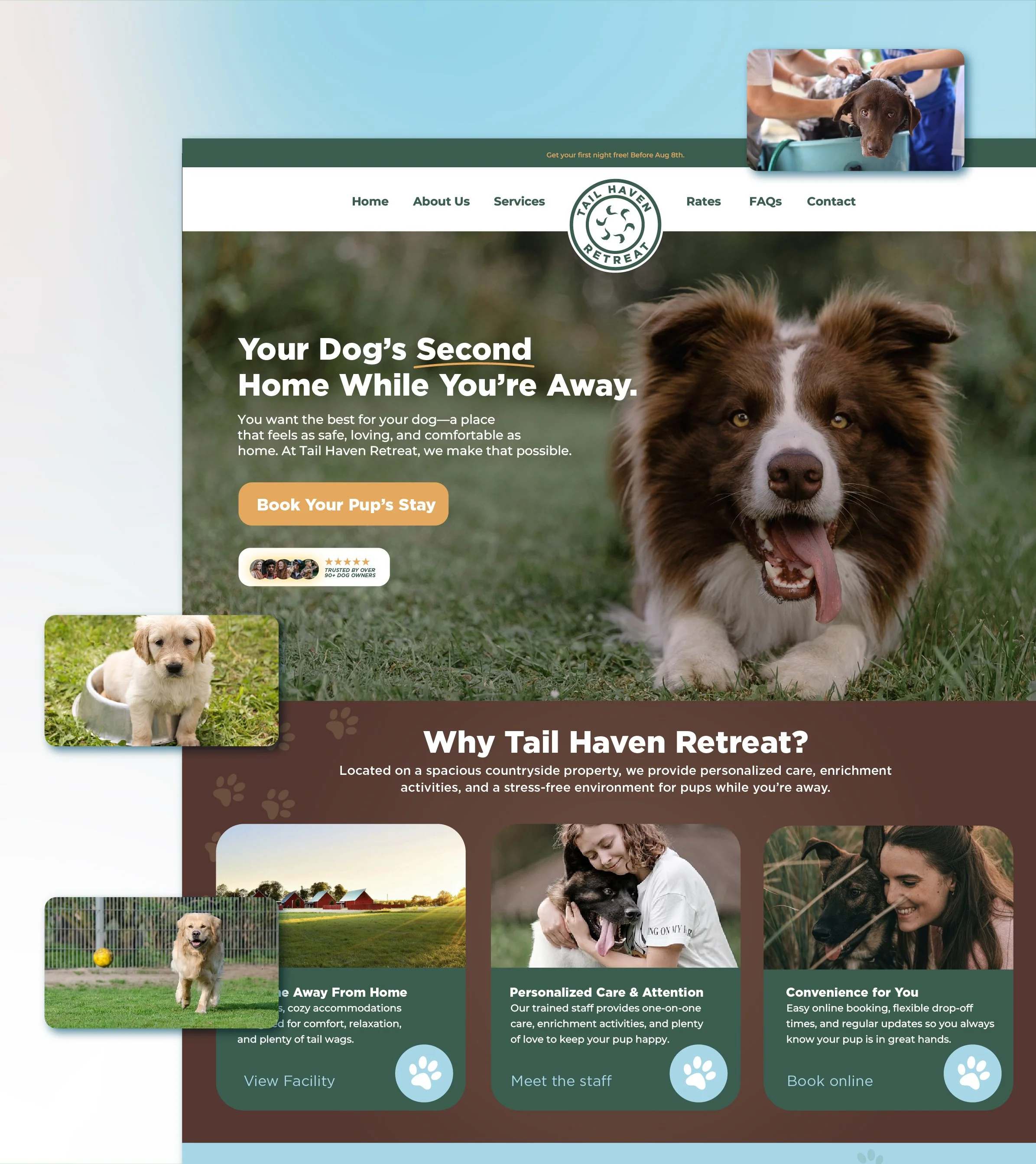 Tail Haven Retreat custom squarespace web design