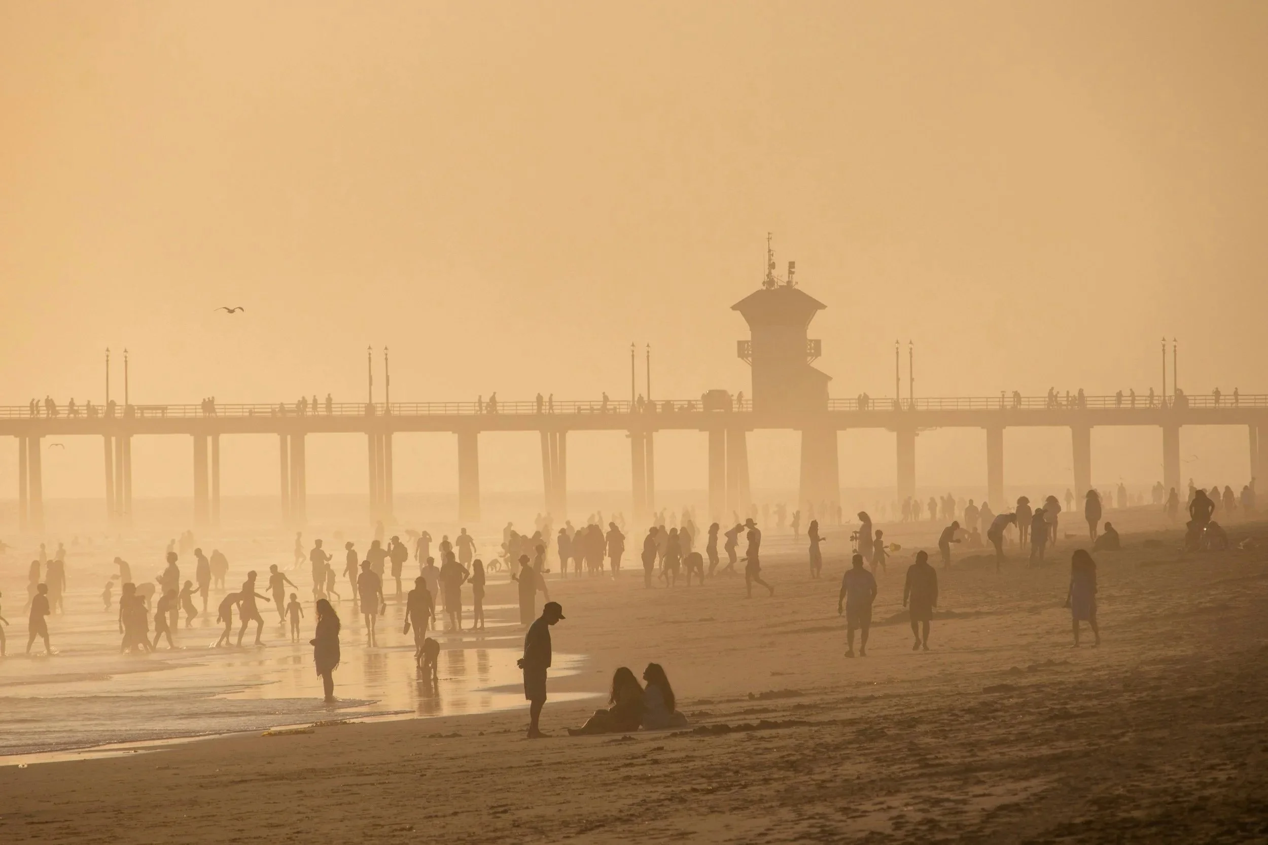 Pricing pollution, again, and why this time may be different