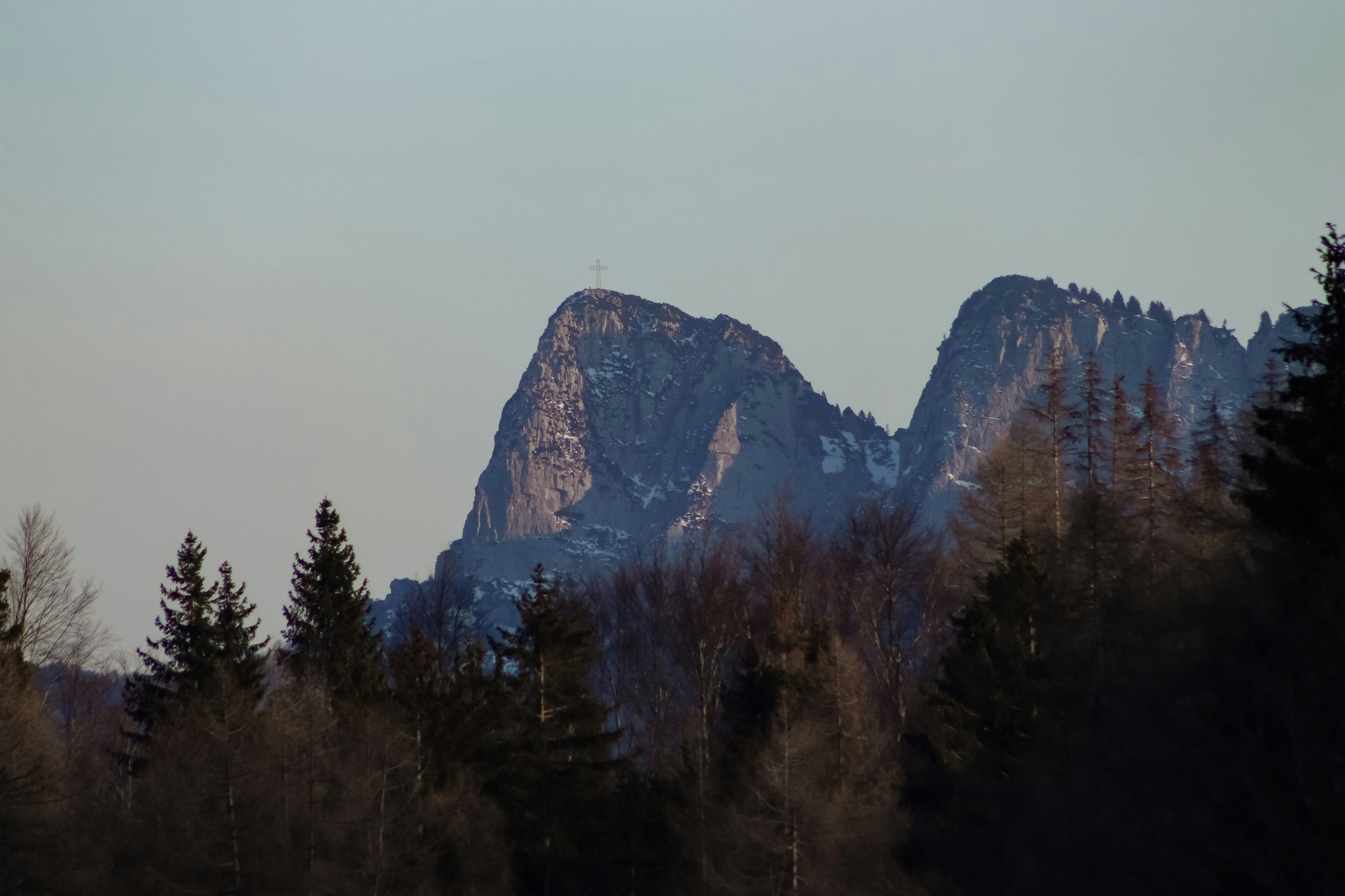 Italy’s Forest Renaissance: What a Greener Landscape Can Teach Investors