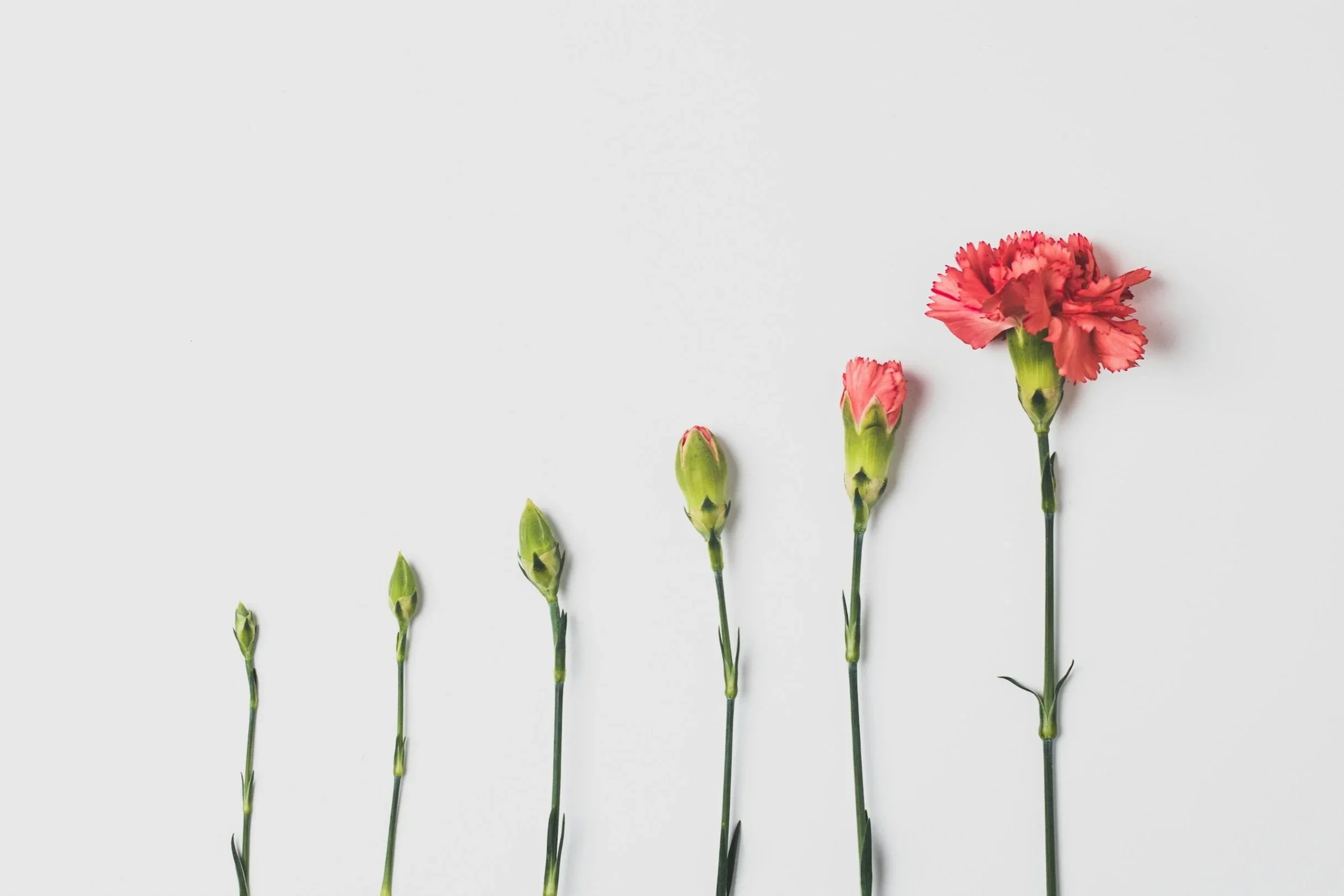Environmental Investing vs Impact Investing: What Is the Difference?