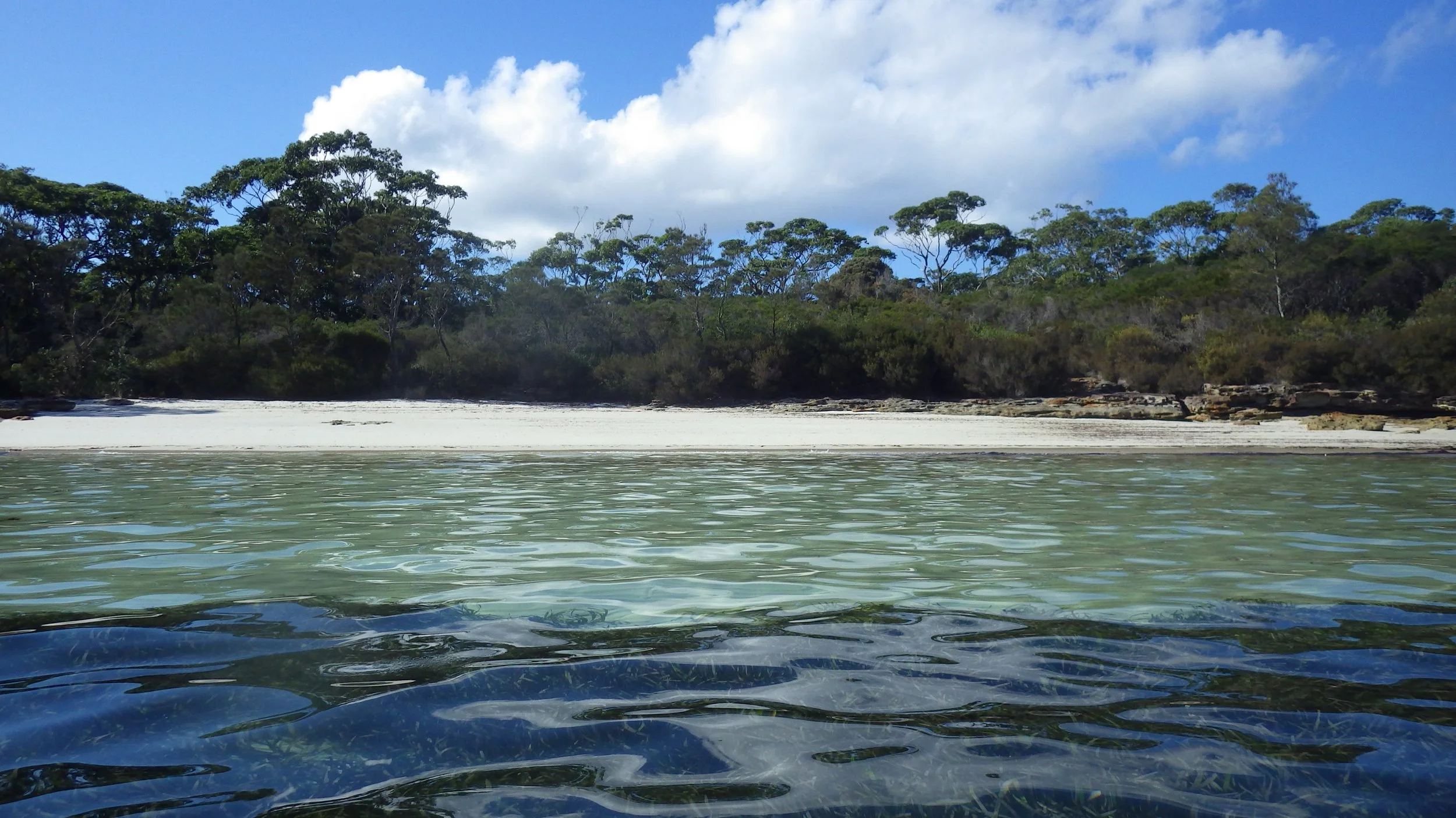 A body of water with a shoreline of sand and rocks, bordered by dense green trees under a partly cloudy blue sky.