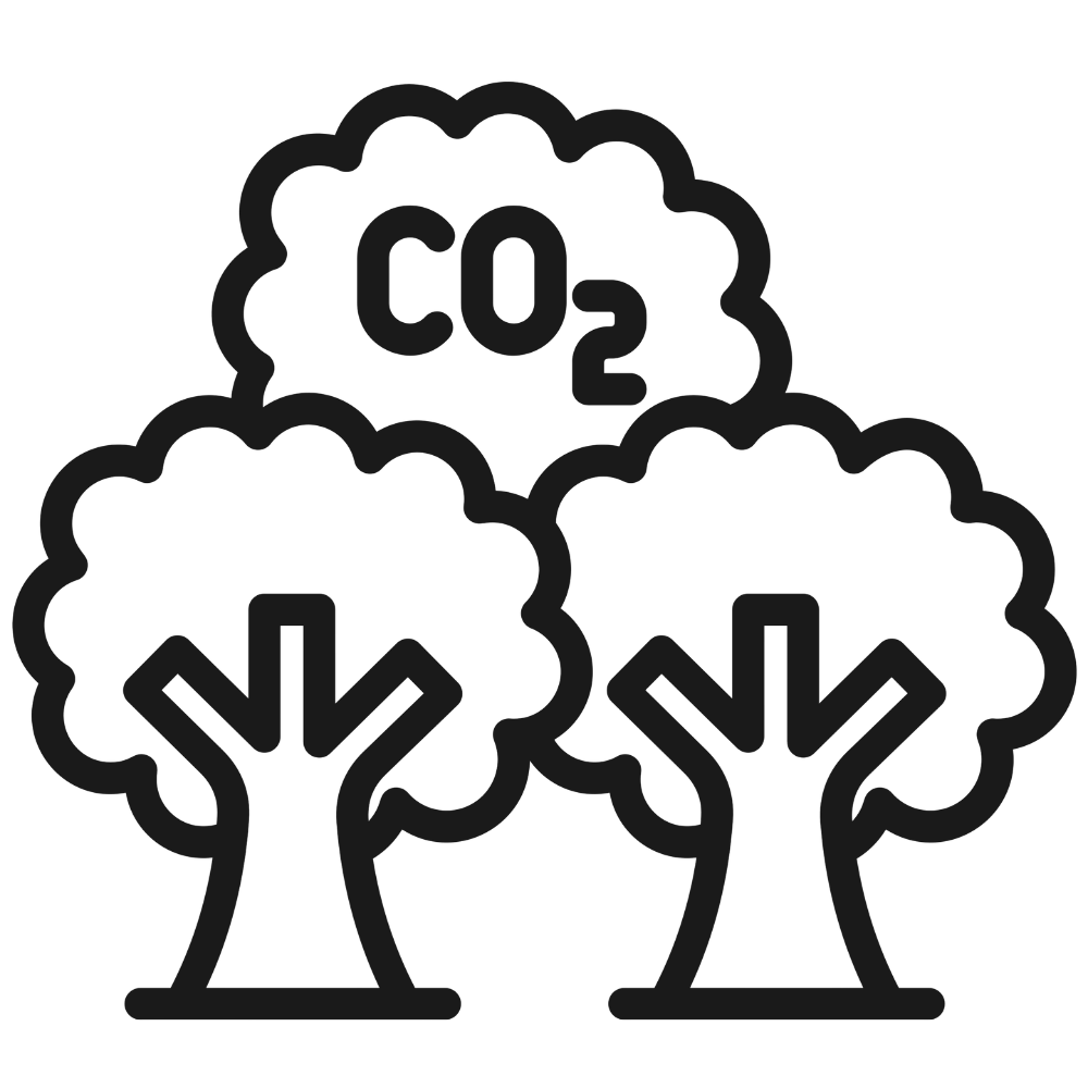 Illustration of two trees with the chemical symbol CO₂ in a thought bubble above them, representing carbon dioxide emissions from trees.