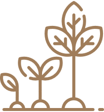 Sustainability