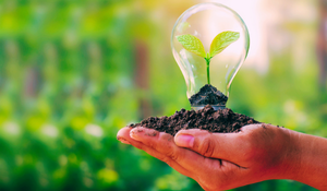 A hand holding soil with a small green plant inside a transparent lightbulb-shaped container, symbolizing eco-friendly growth or sustainability.