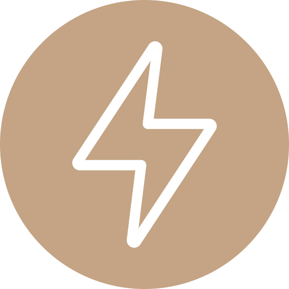 Icon of a white lightning bolt inside a beige circle, representing electricity or power.