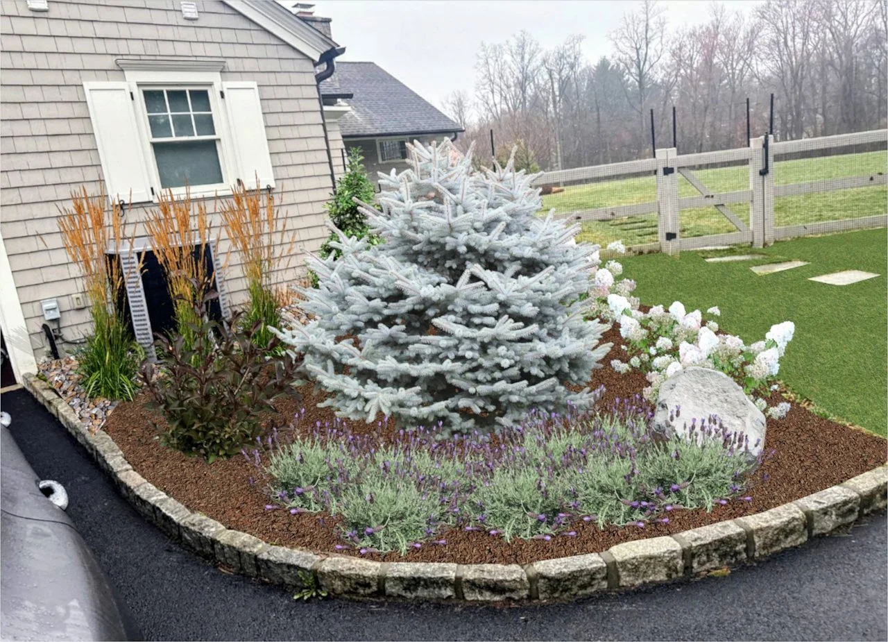 Driveway Plantings