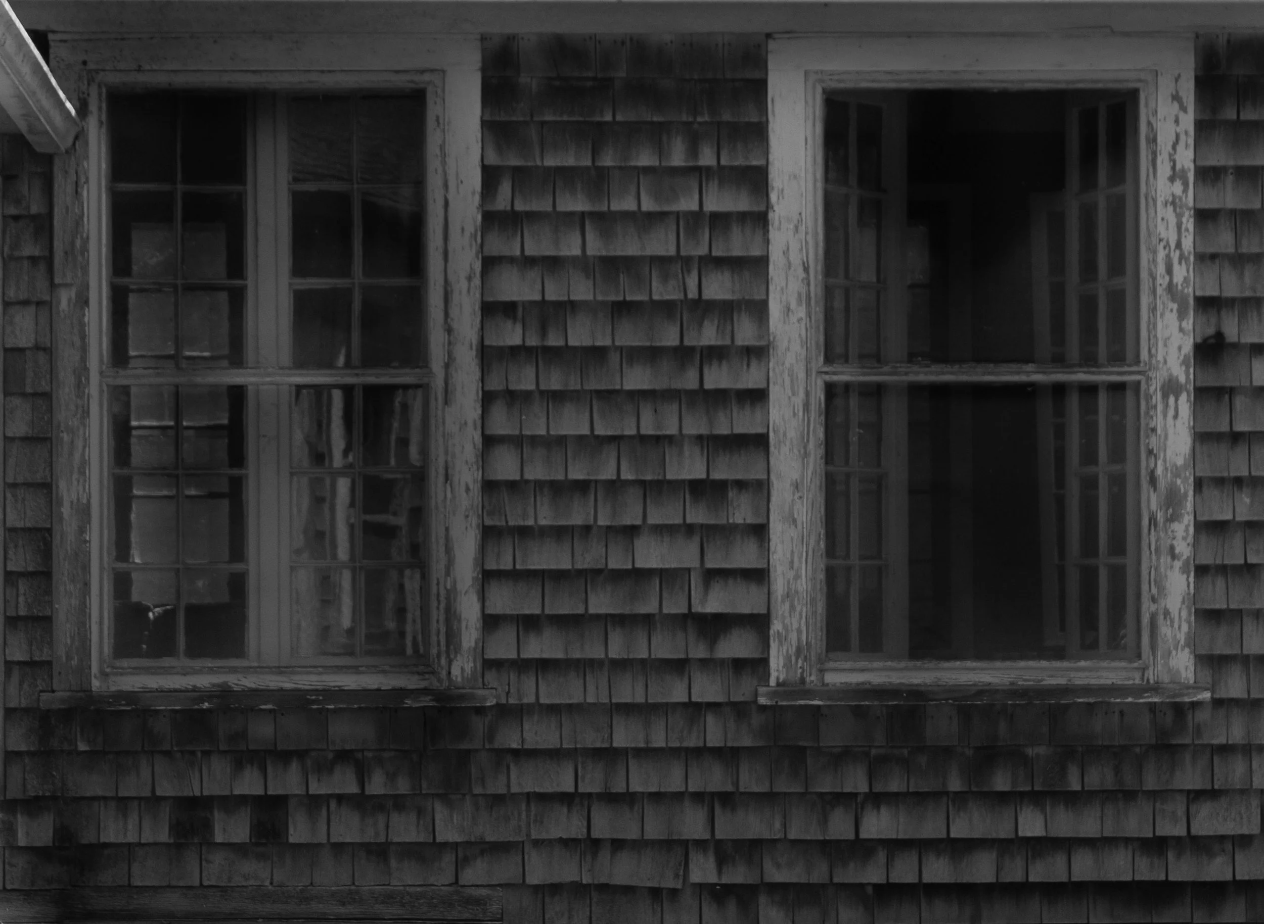 peek (2024) digital photograph