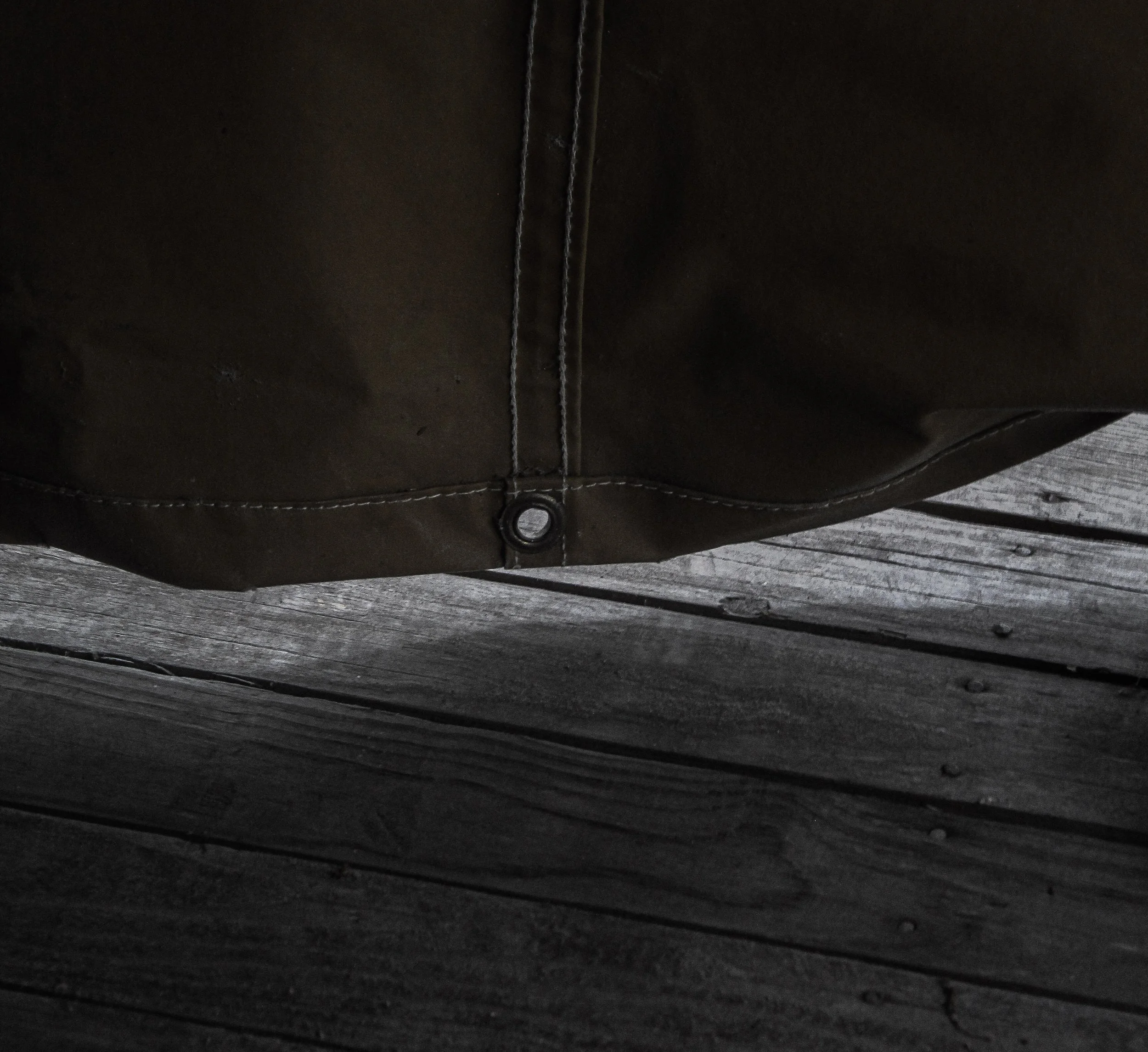 morning light (2024) digital photograph