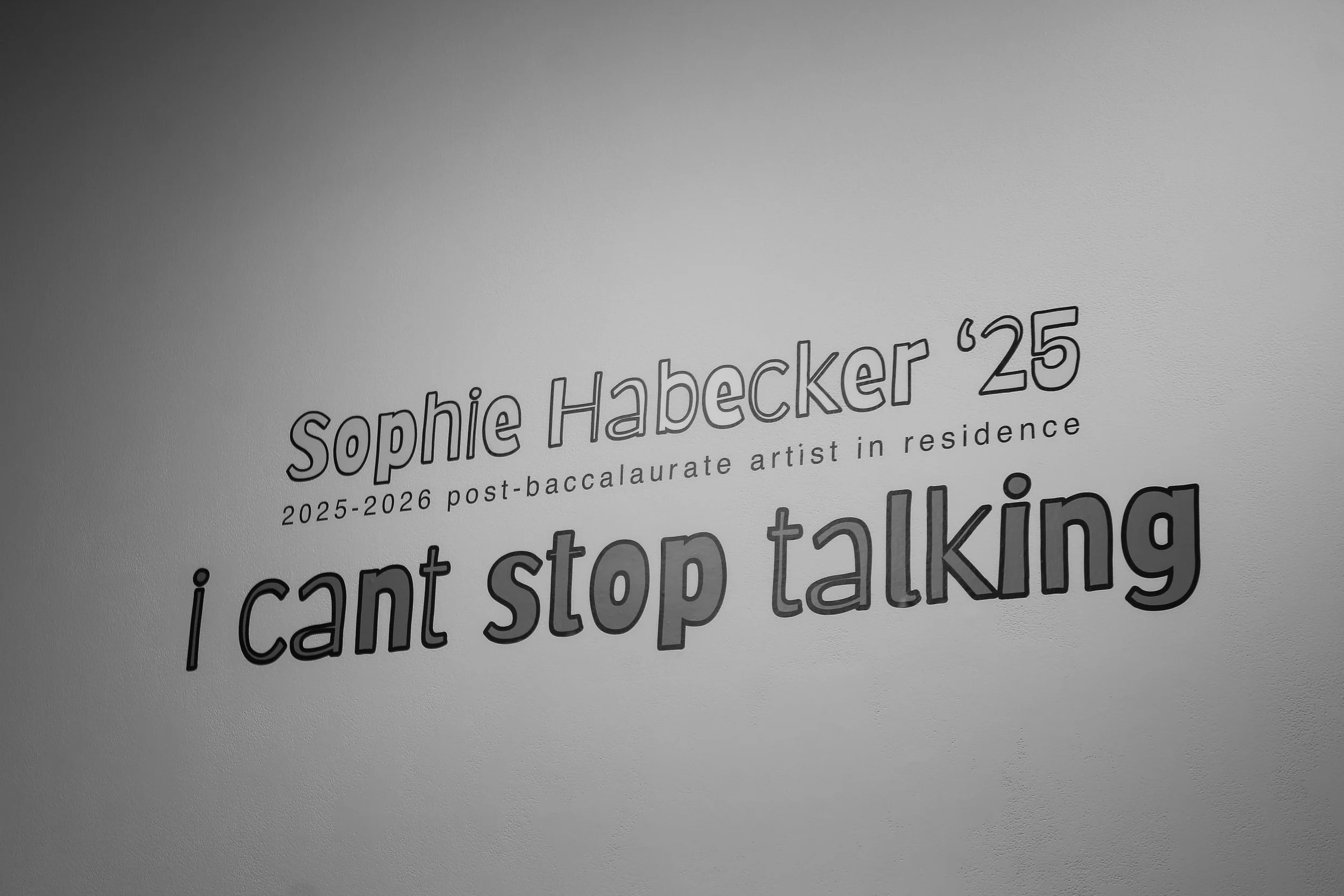 i can't stop talking