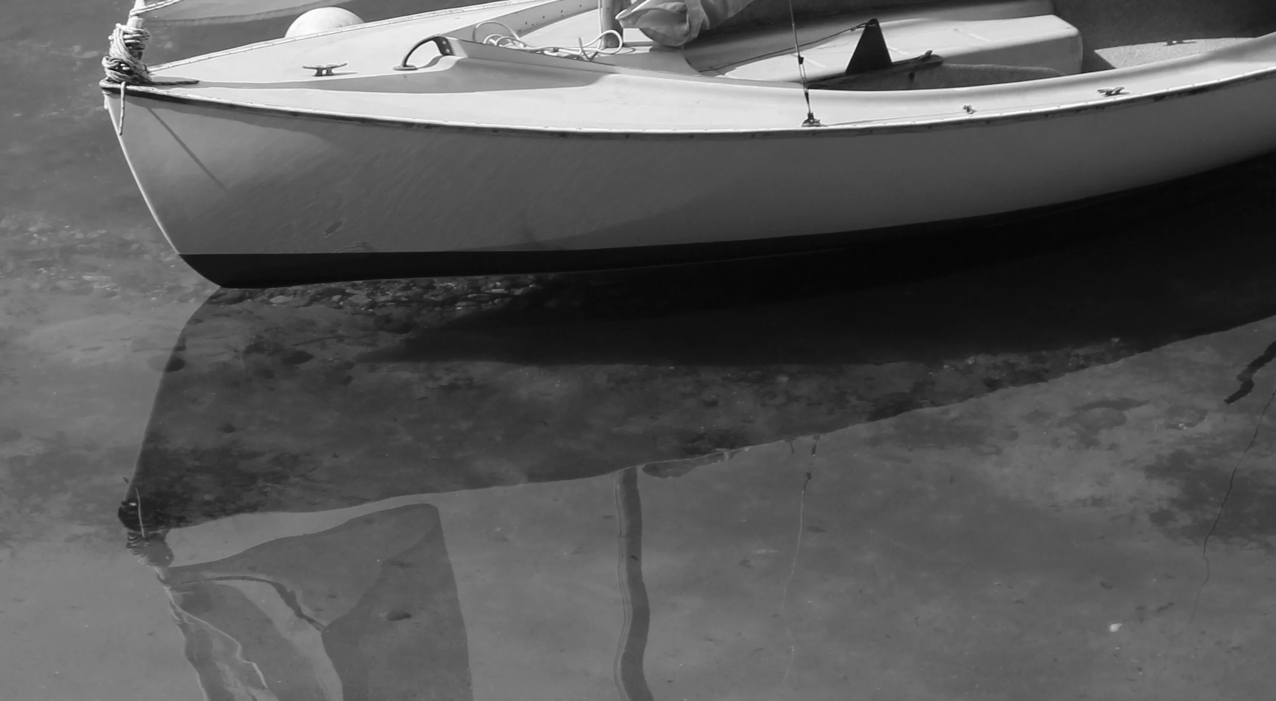 reflect (2024) digital photograph