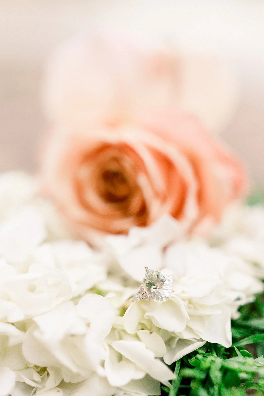 DSC_5236_websize.jpg