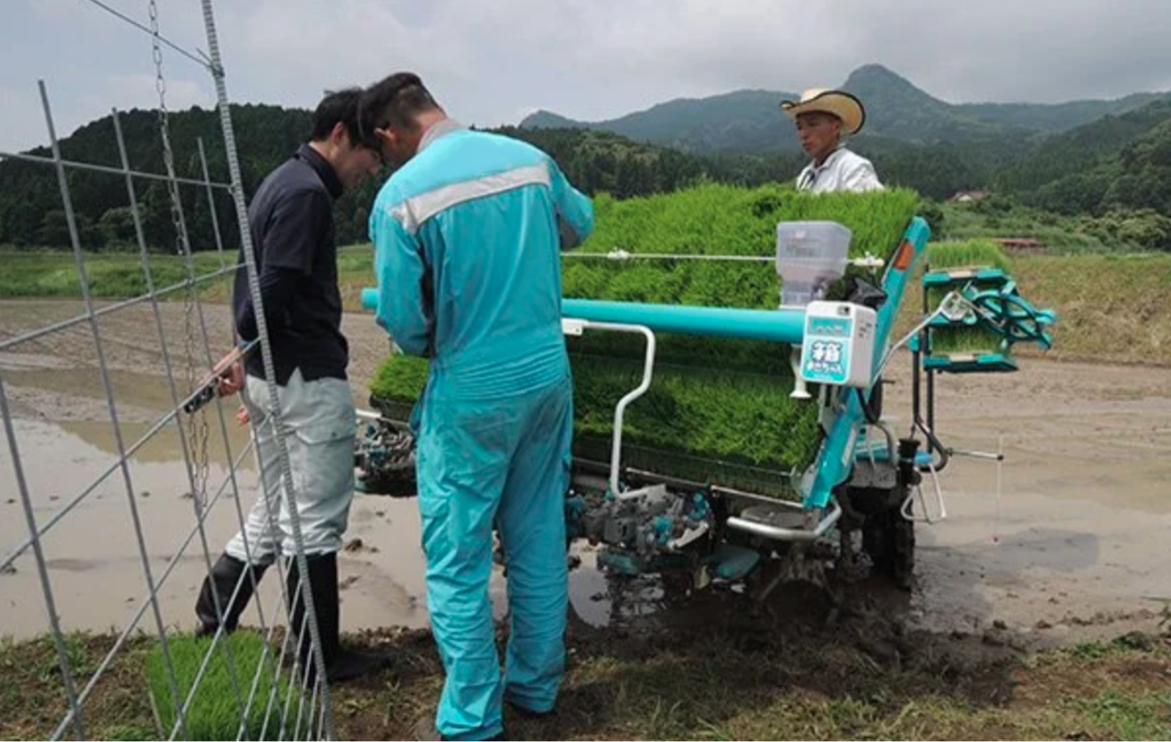 Farming in Japan