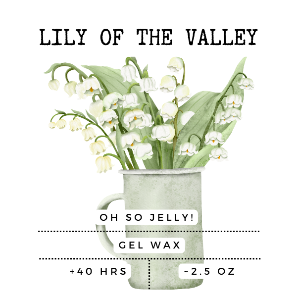 Lily of the Valley