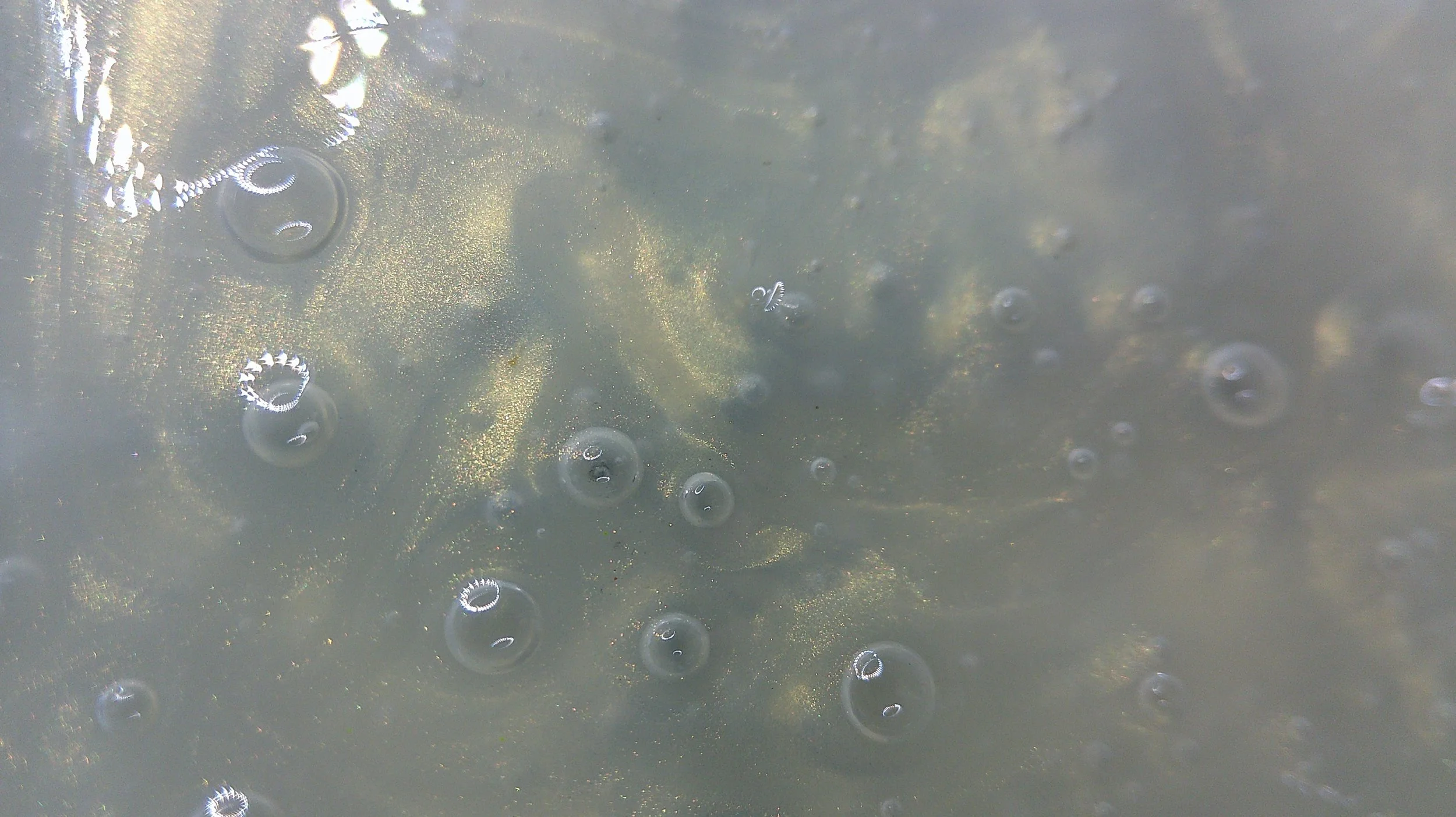 DSCF0028.JPG (Copy) (Copy) (Copy)