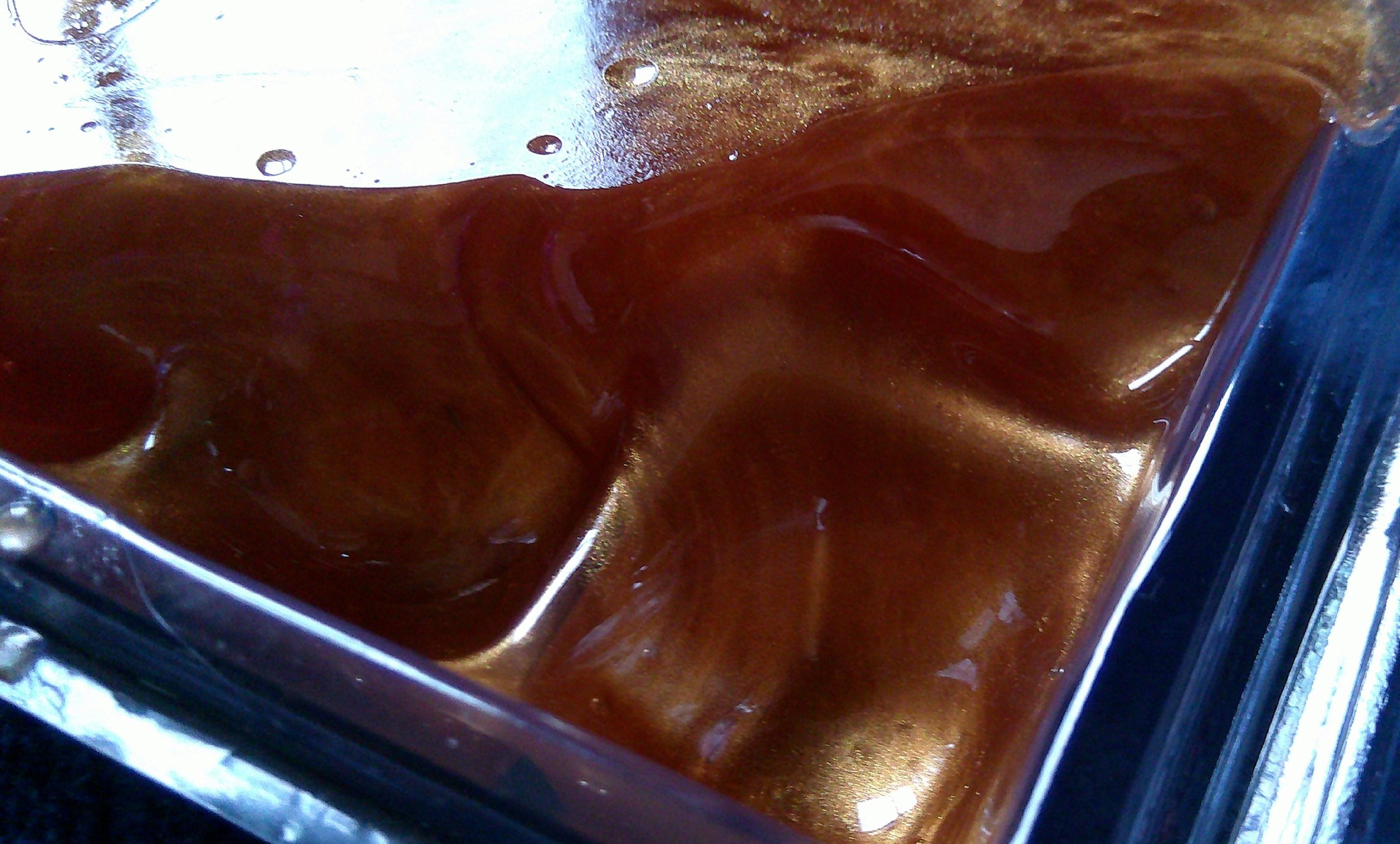 DSCF0035-kelsey.JPG (Copy) (Copy) (Copy)