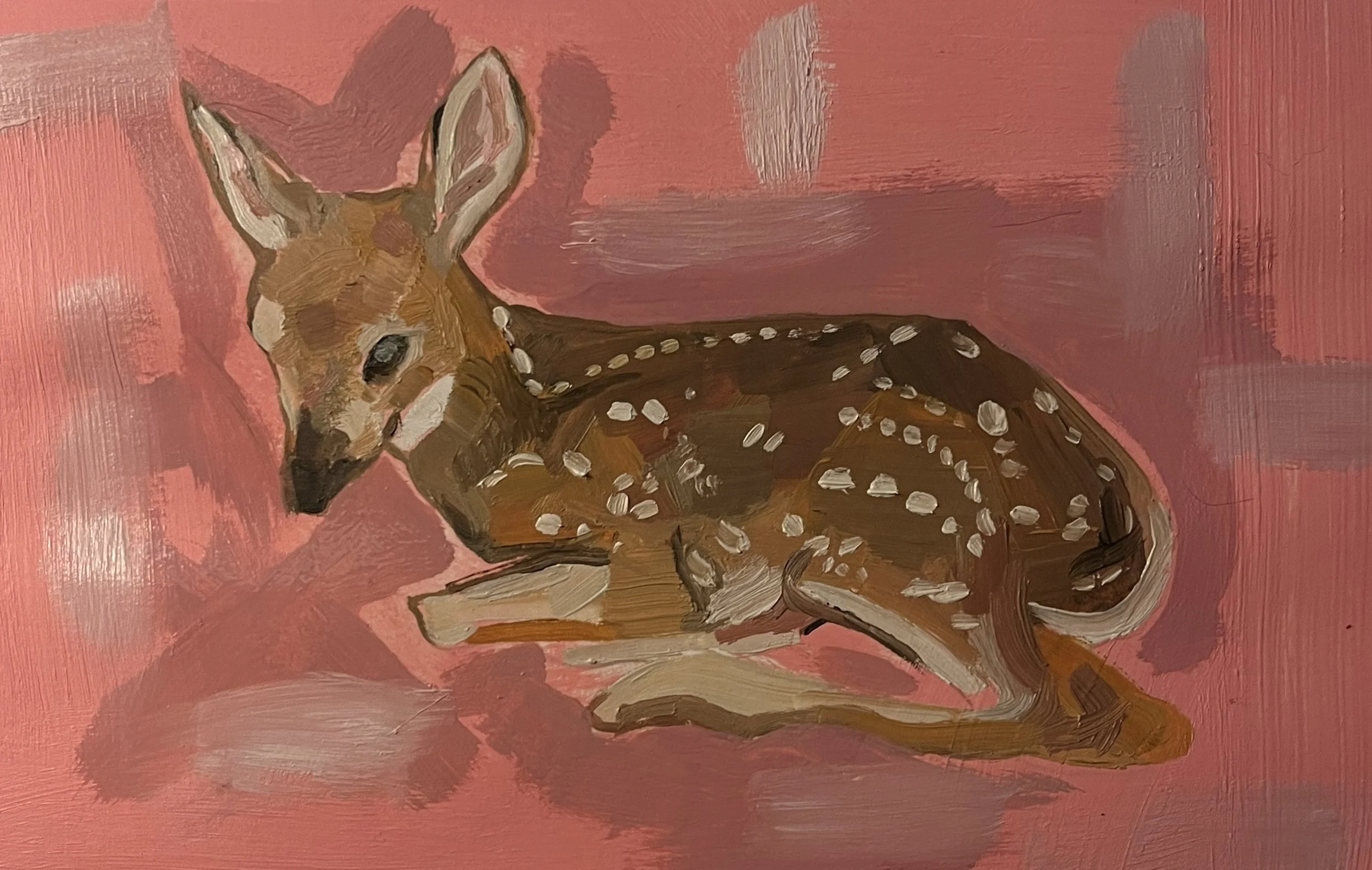 deer study
oil on paper
