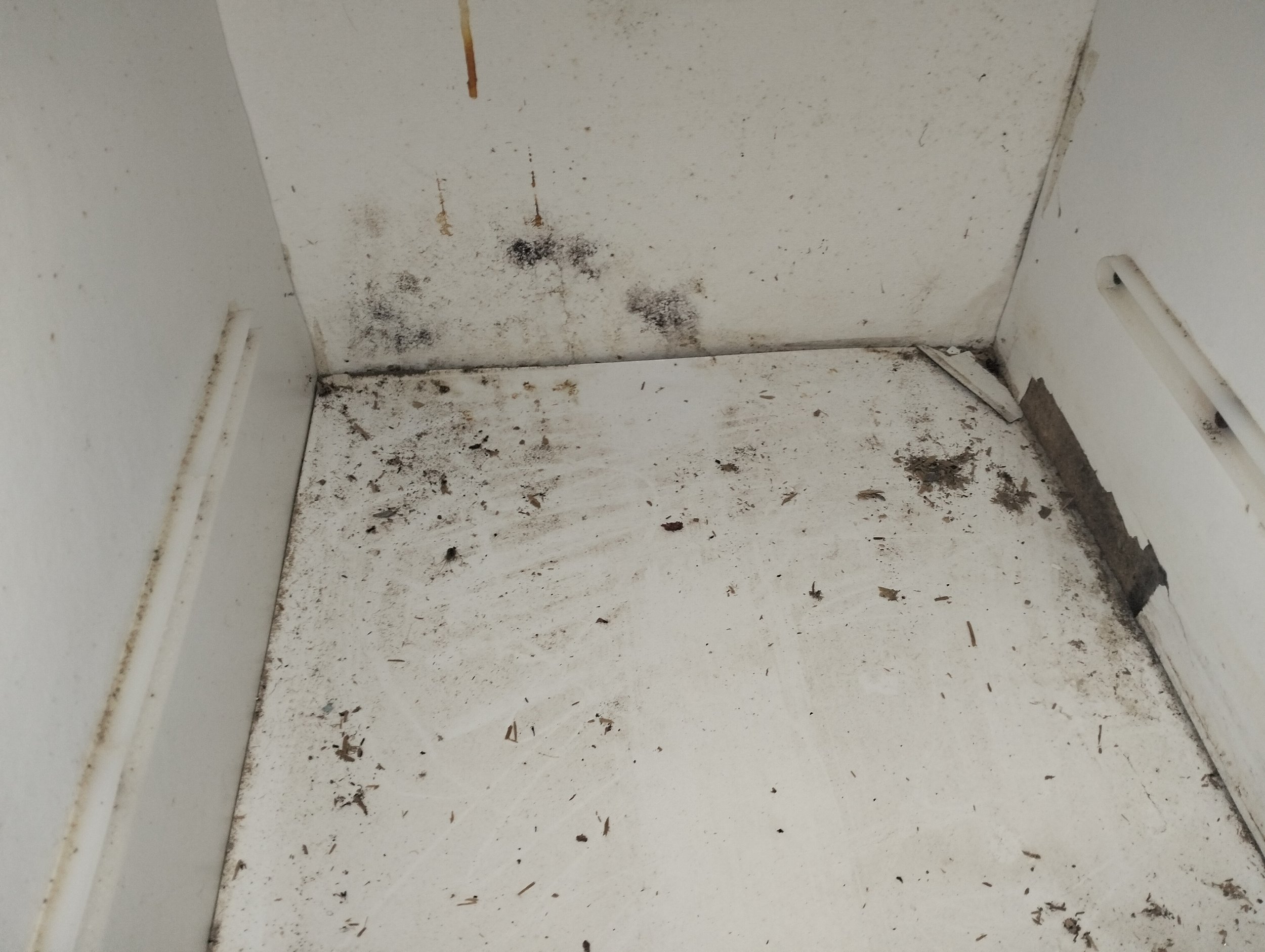 Mould presence within a kitchen cabinet during a mould assessment