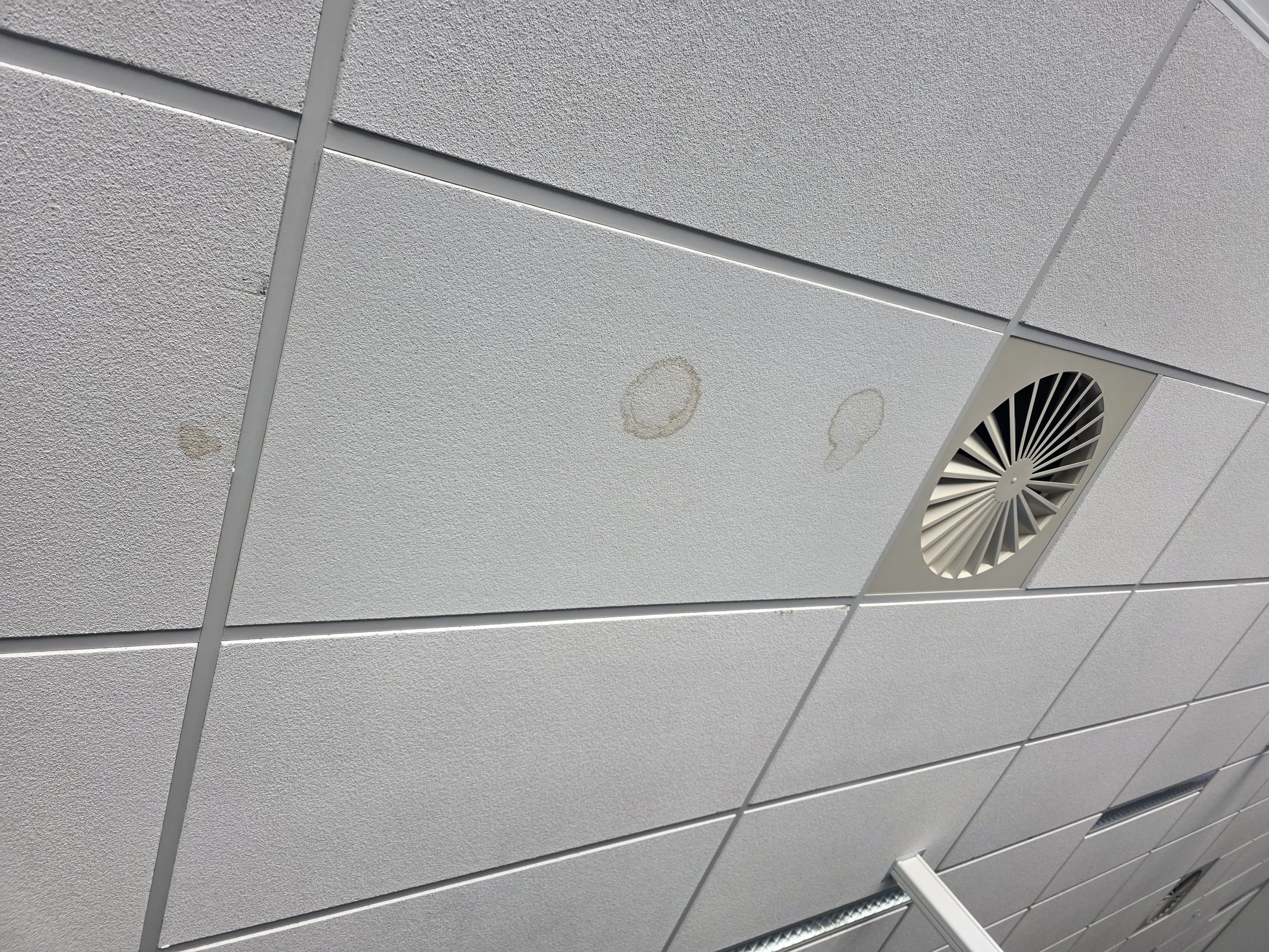 IAQ and mould assessment water damage to office ceiling
