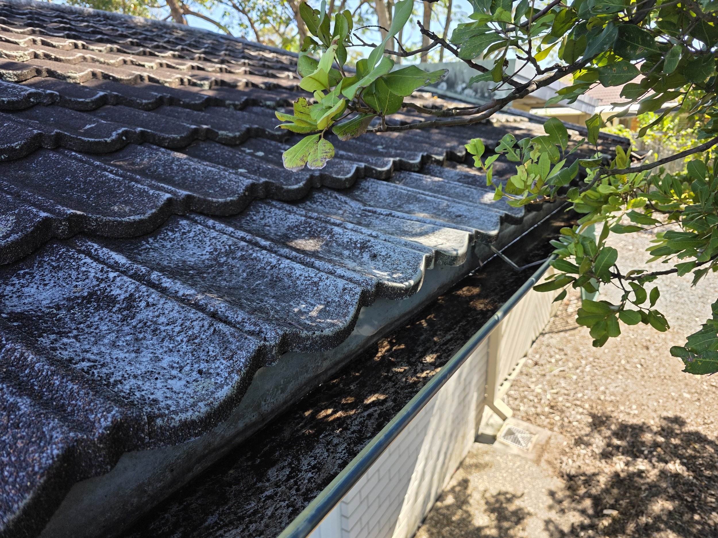 Asbestos shingle rooftop