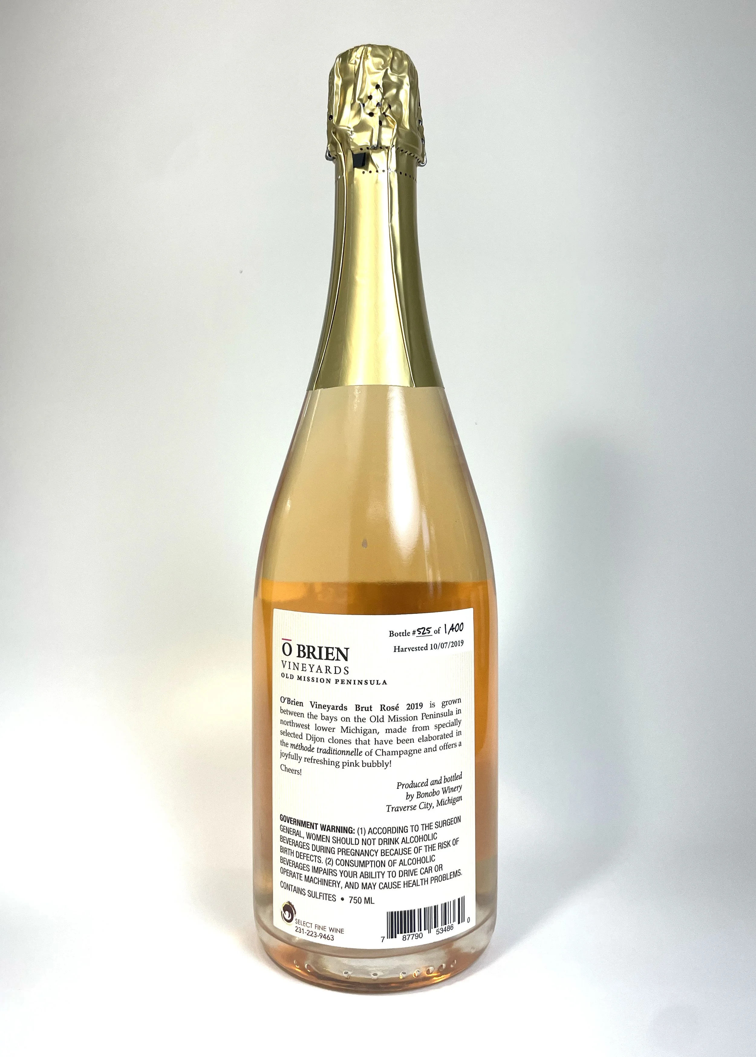 BrutRose2019_back.jpg