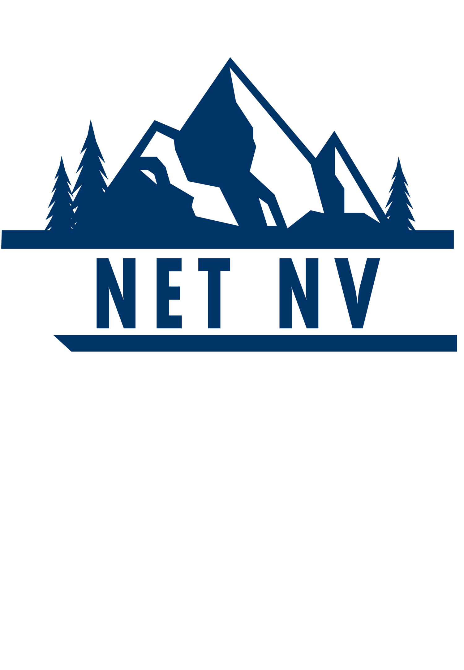 NetNV.net 2025
