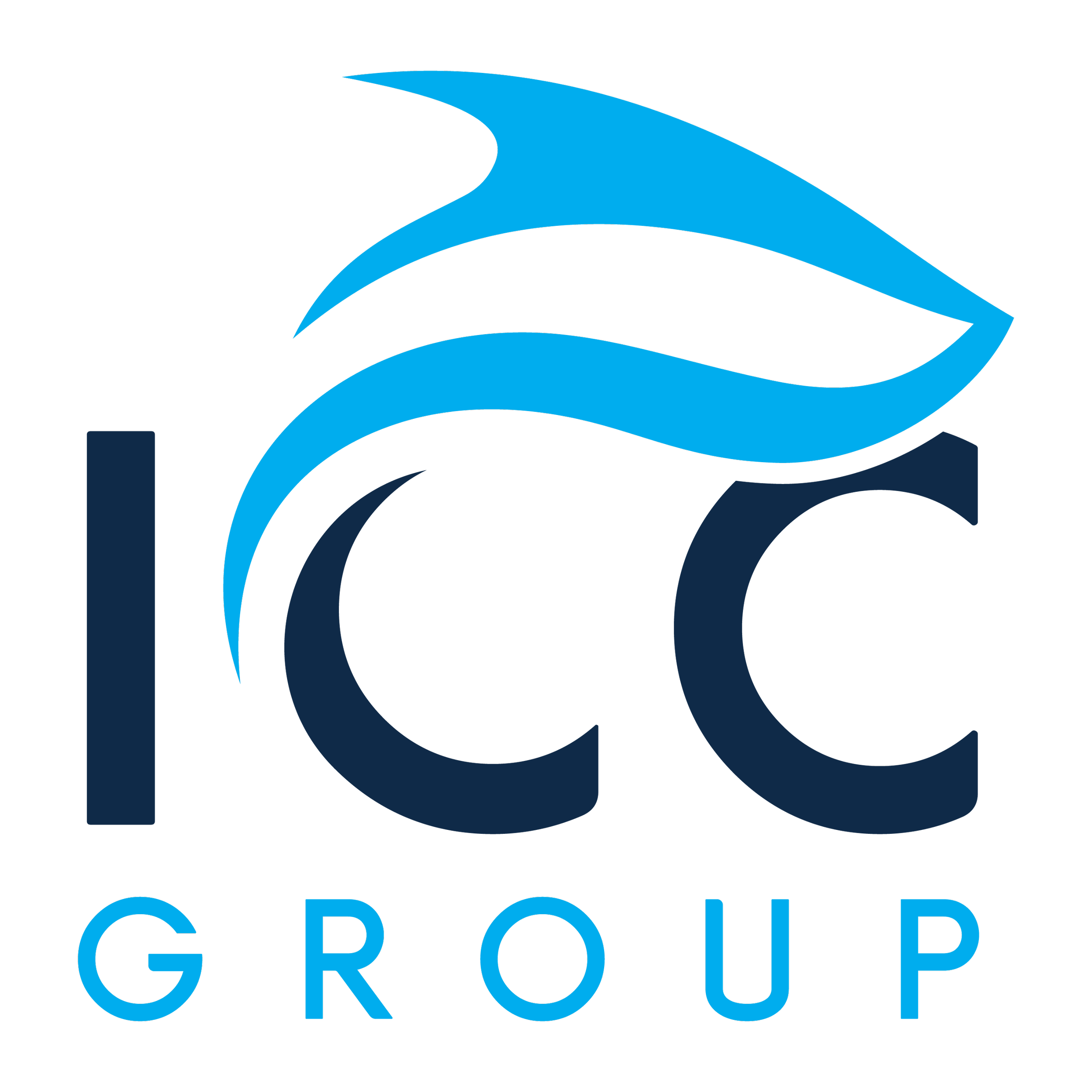 Home [theiccgroup.com]