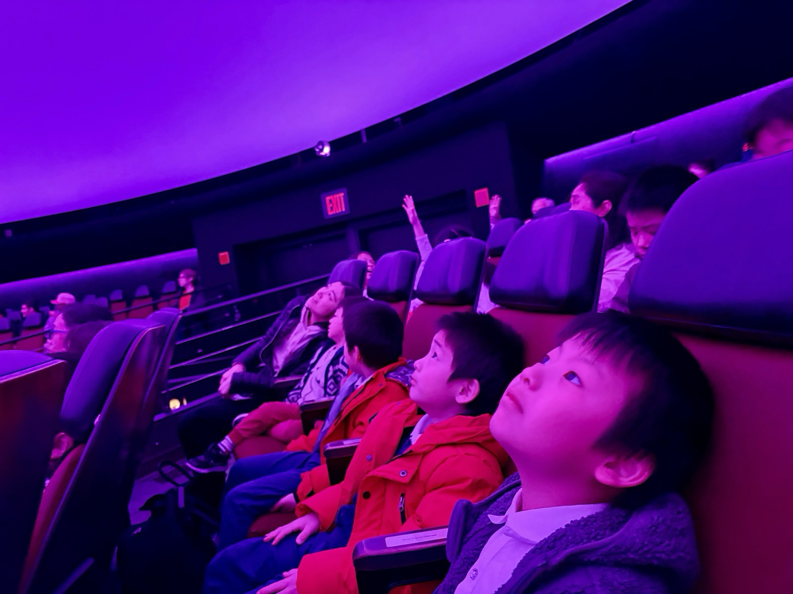 4. Day at the Museum 6.png