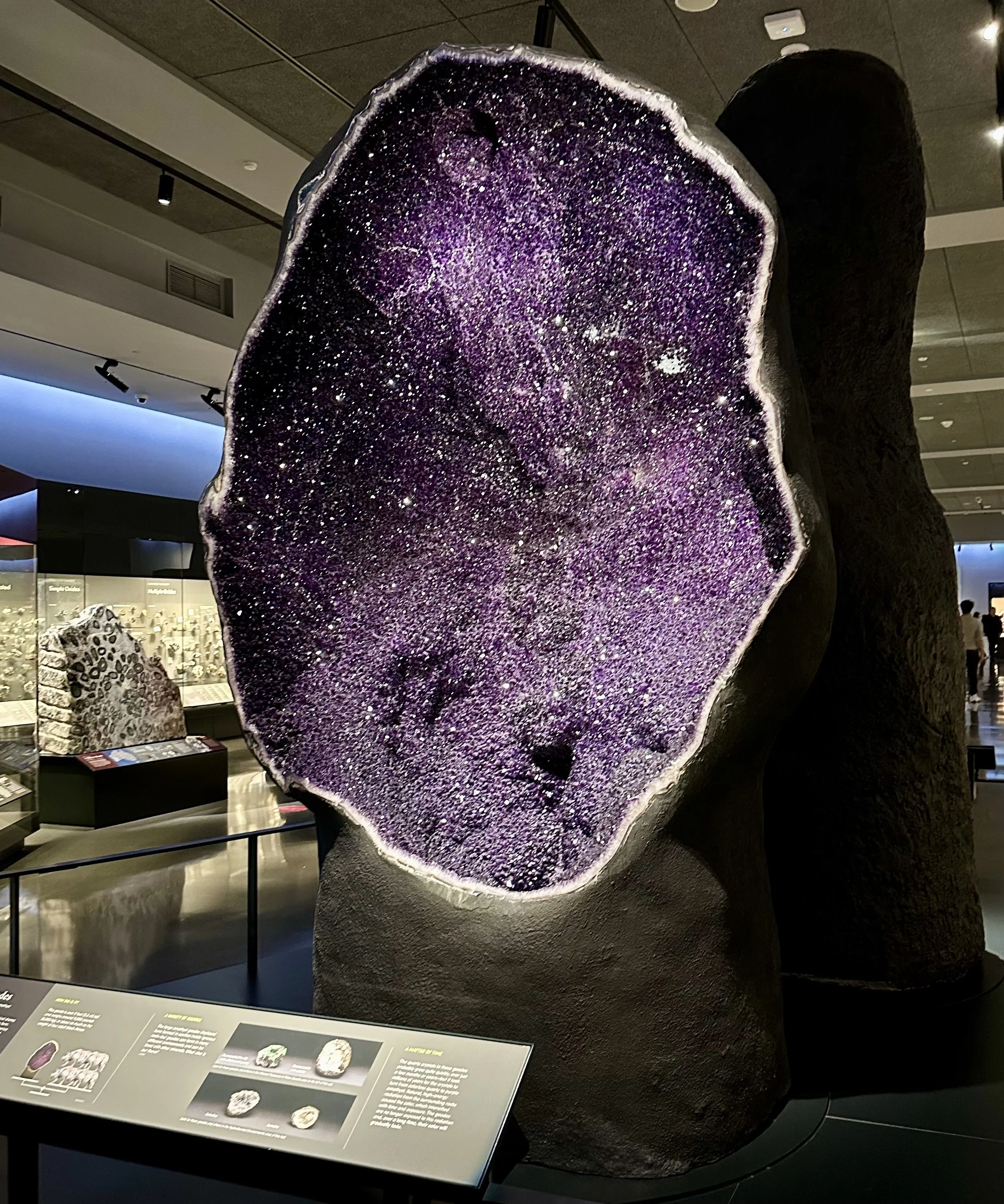 4. Day at the Museum 12.jpg