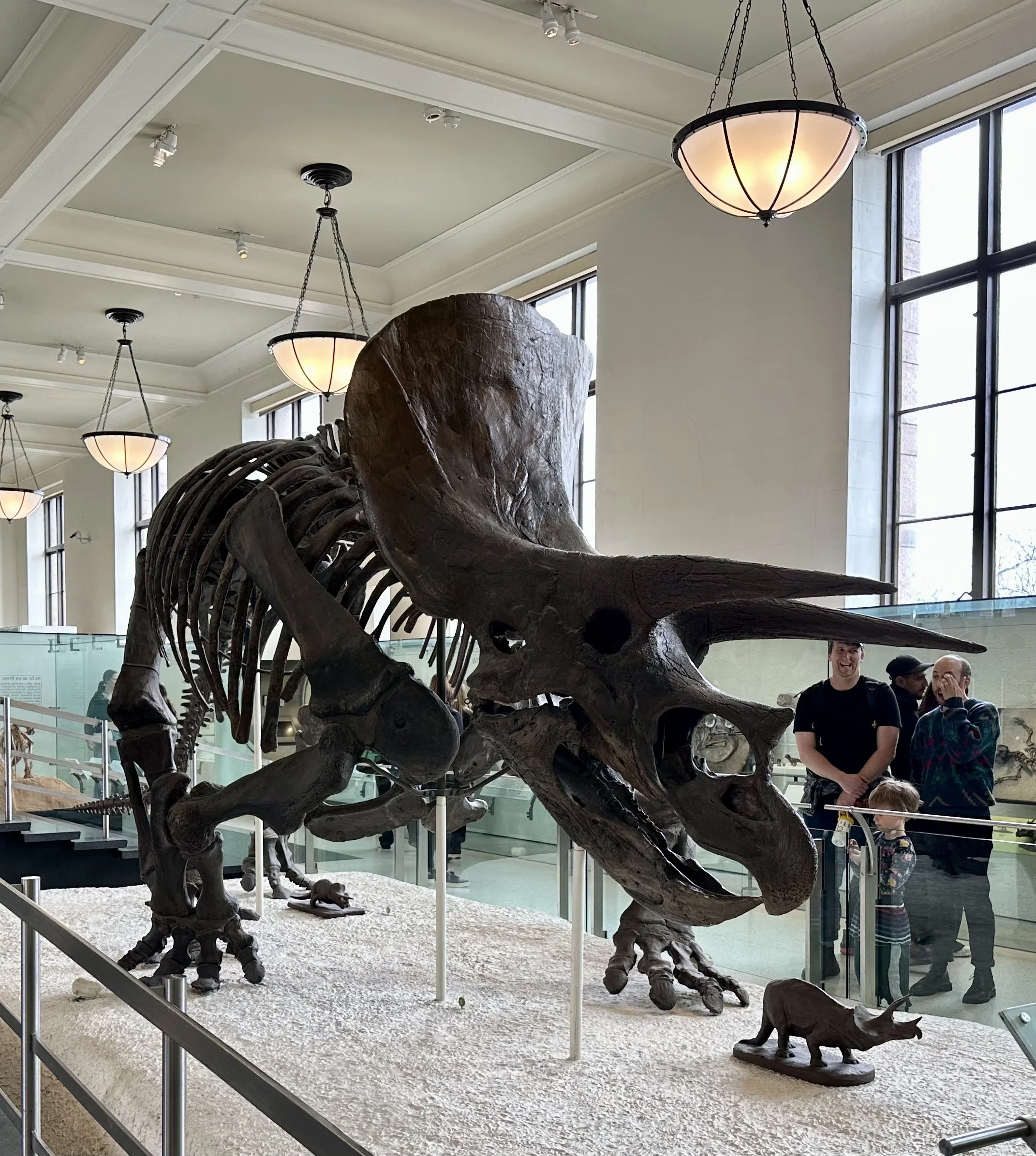 4. Day at the Museum 16.jpg