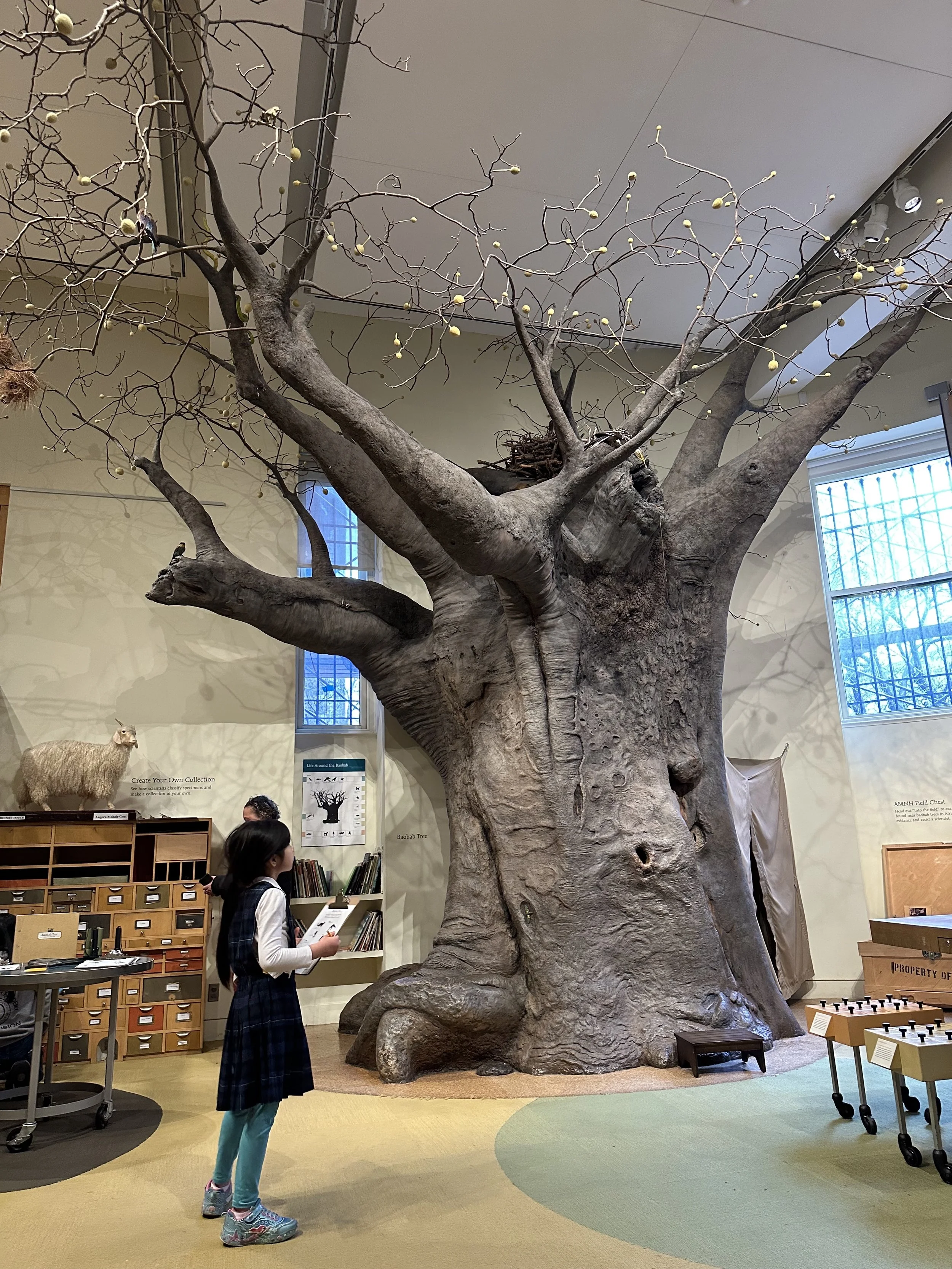 4. Day at the Museum 23.jpg