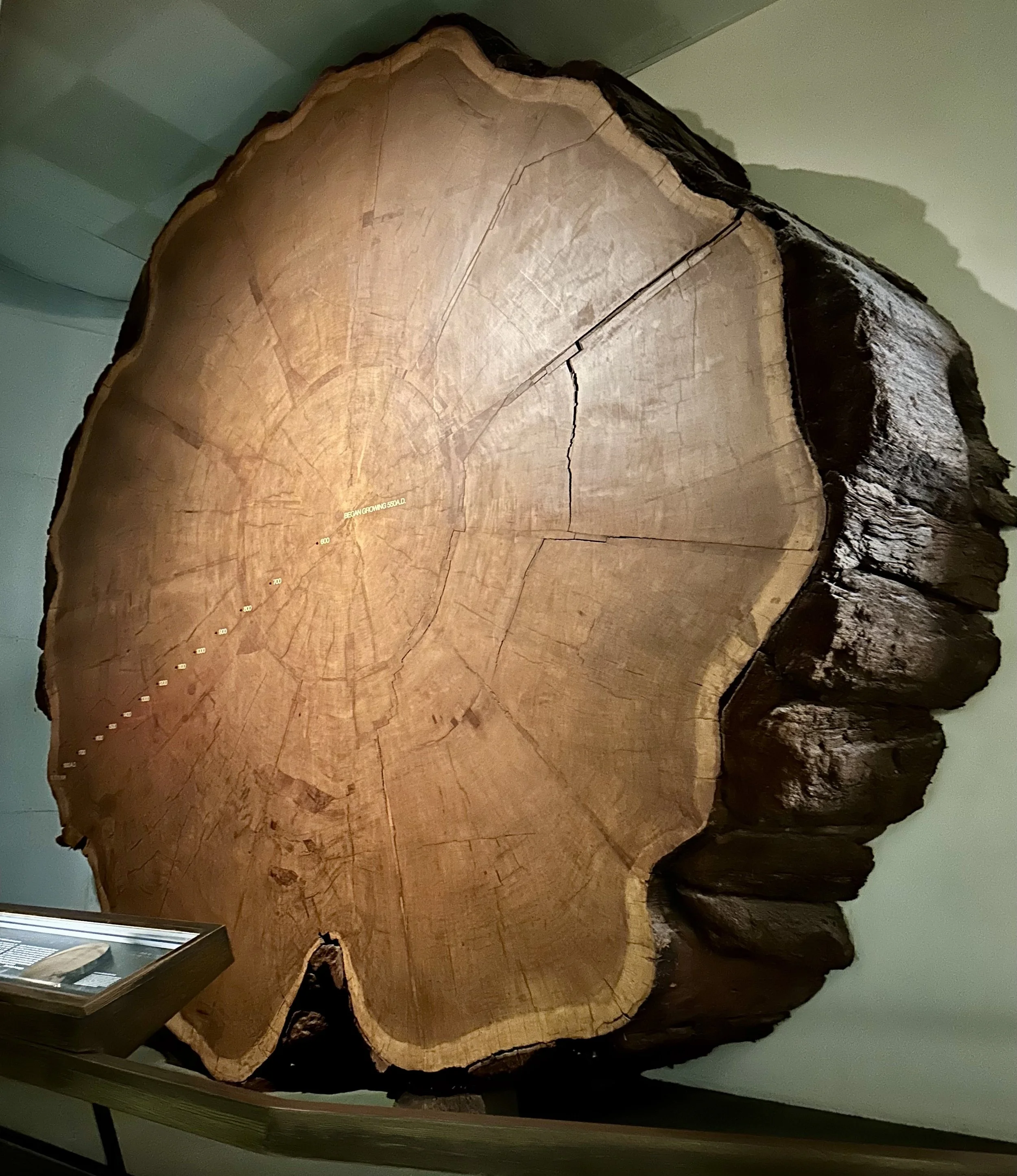 4. Day at the Museum 11.jpg