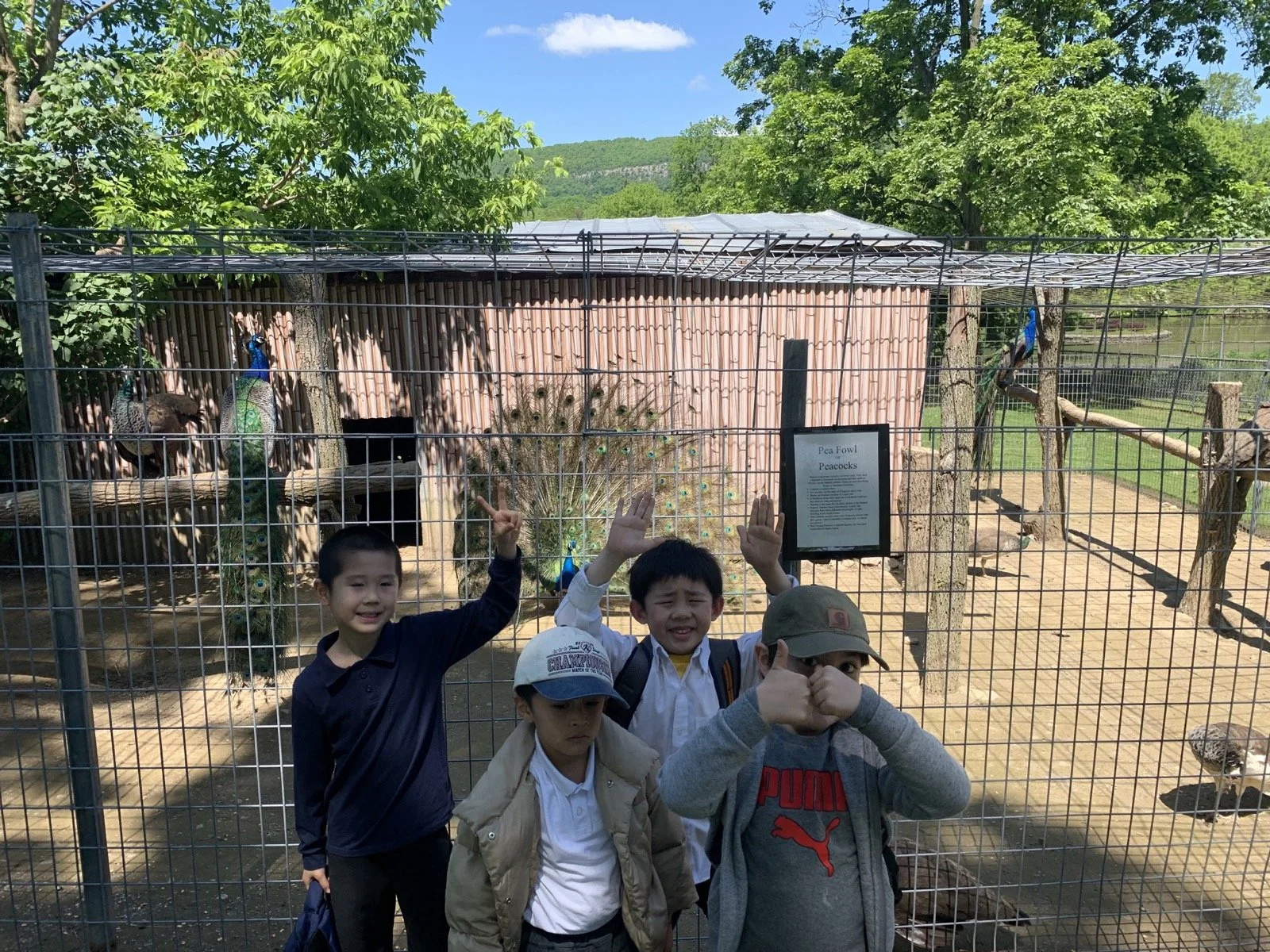 7. Space Zoo Farm 6.jpg