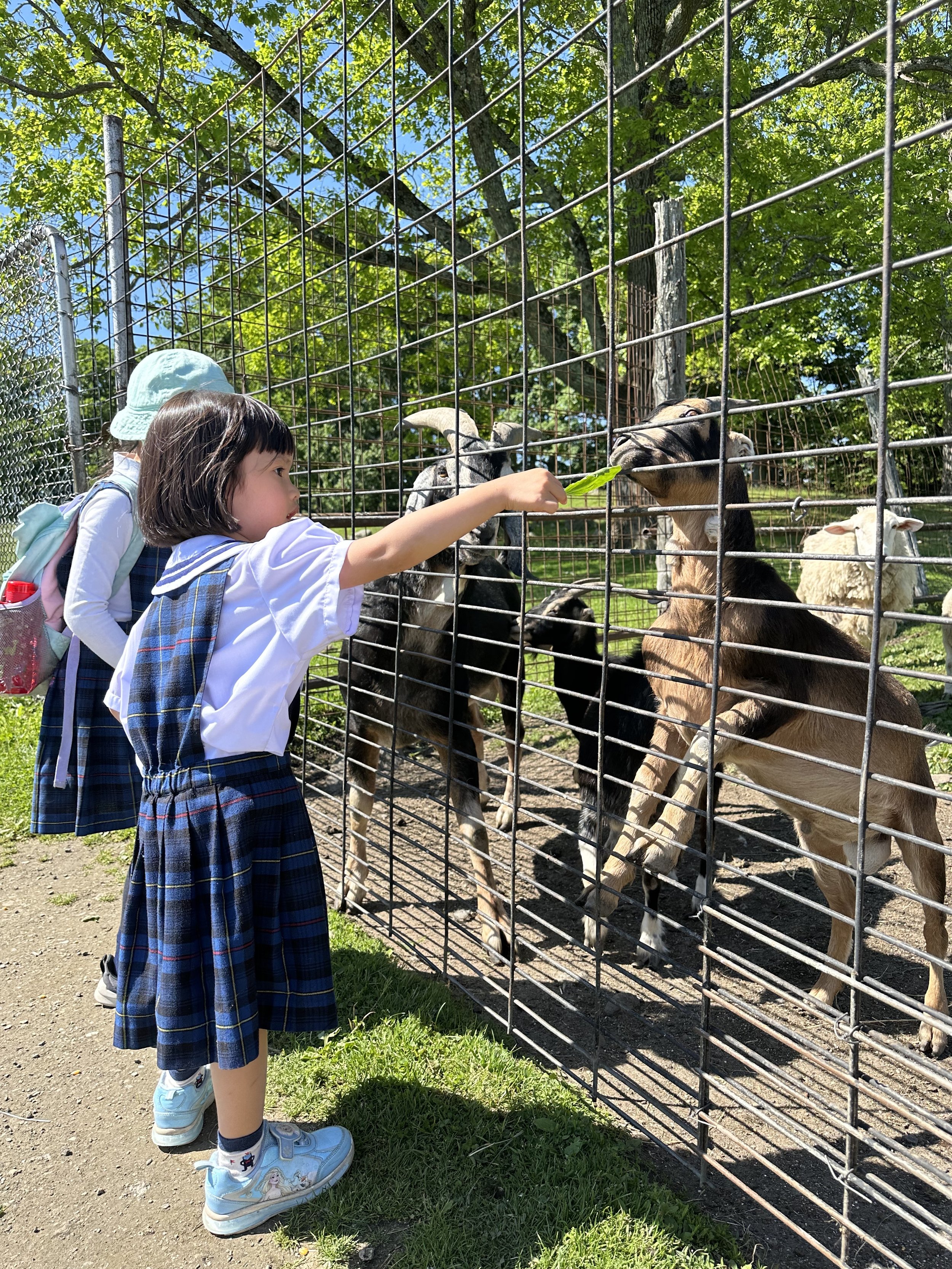 7. Space Zoo Farm 7.jpg