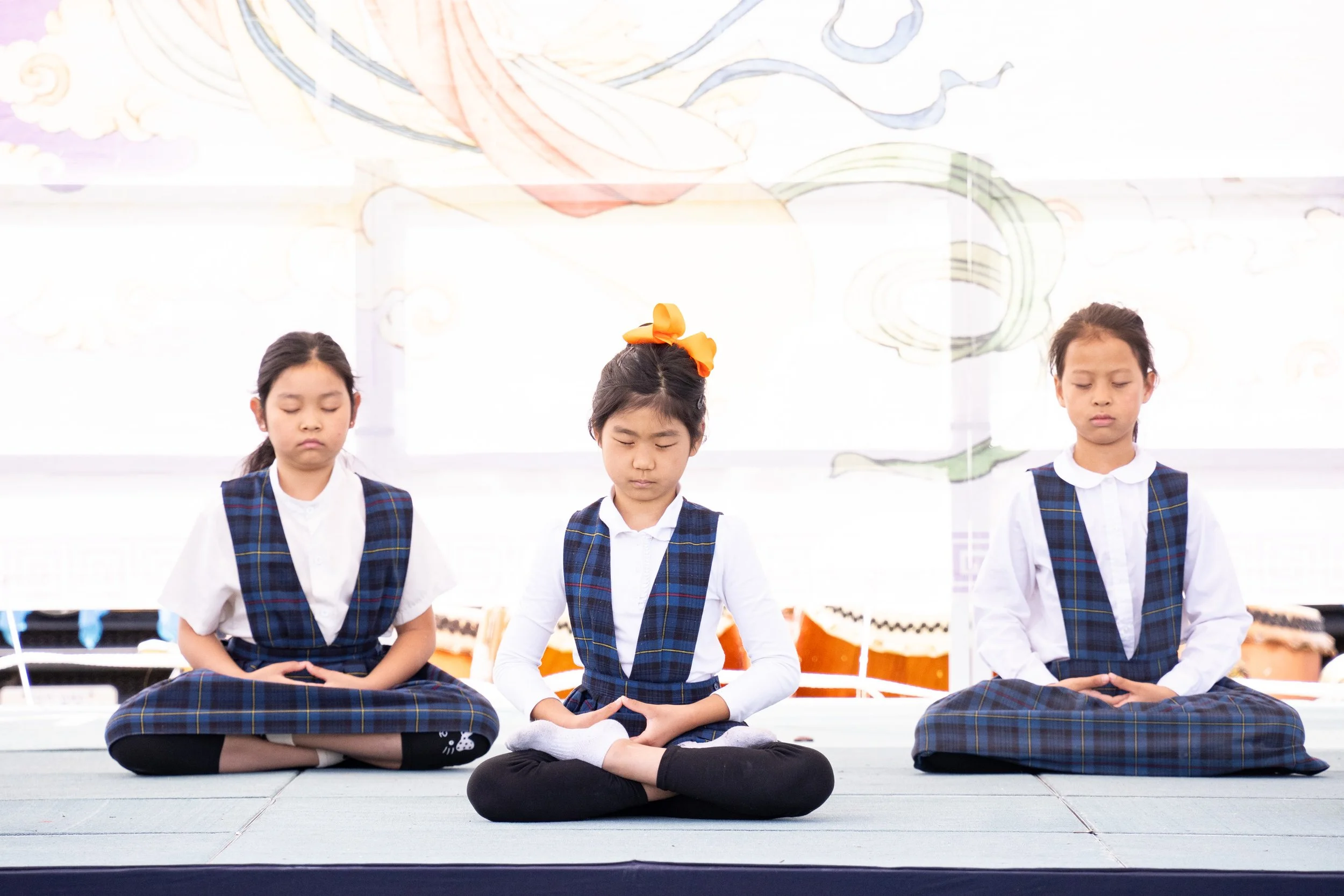6. Meditation Demonstration Performances 3.jpg