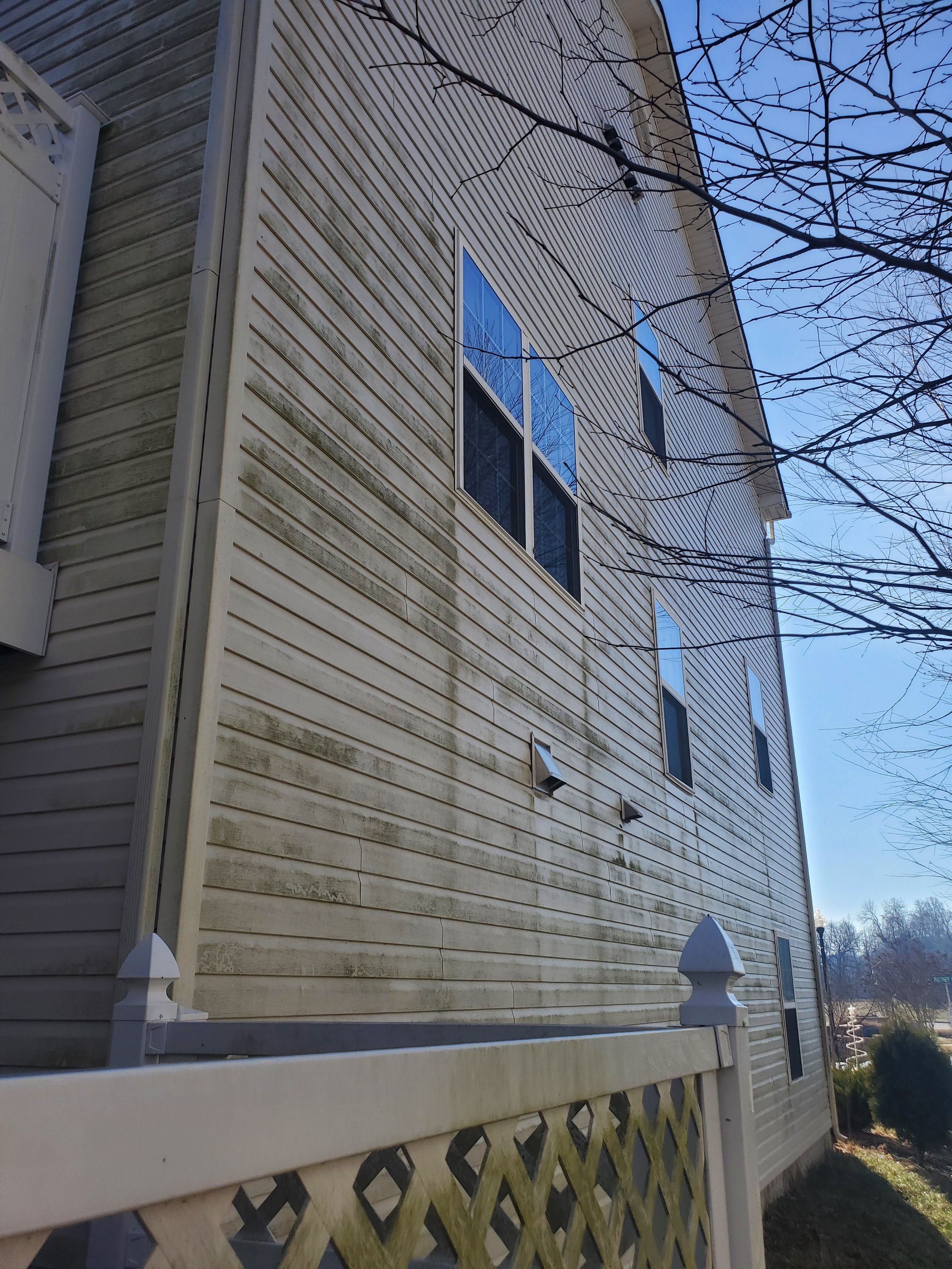 Side view of a building with vinyl siding and two windows, showing signs of mildew or dirt accumulation. A white fence is visible in the foreground, and tree branches are in the upper right corner.