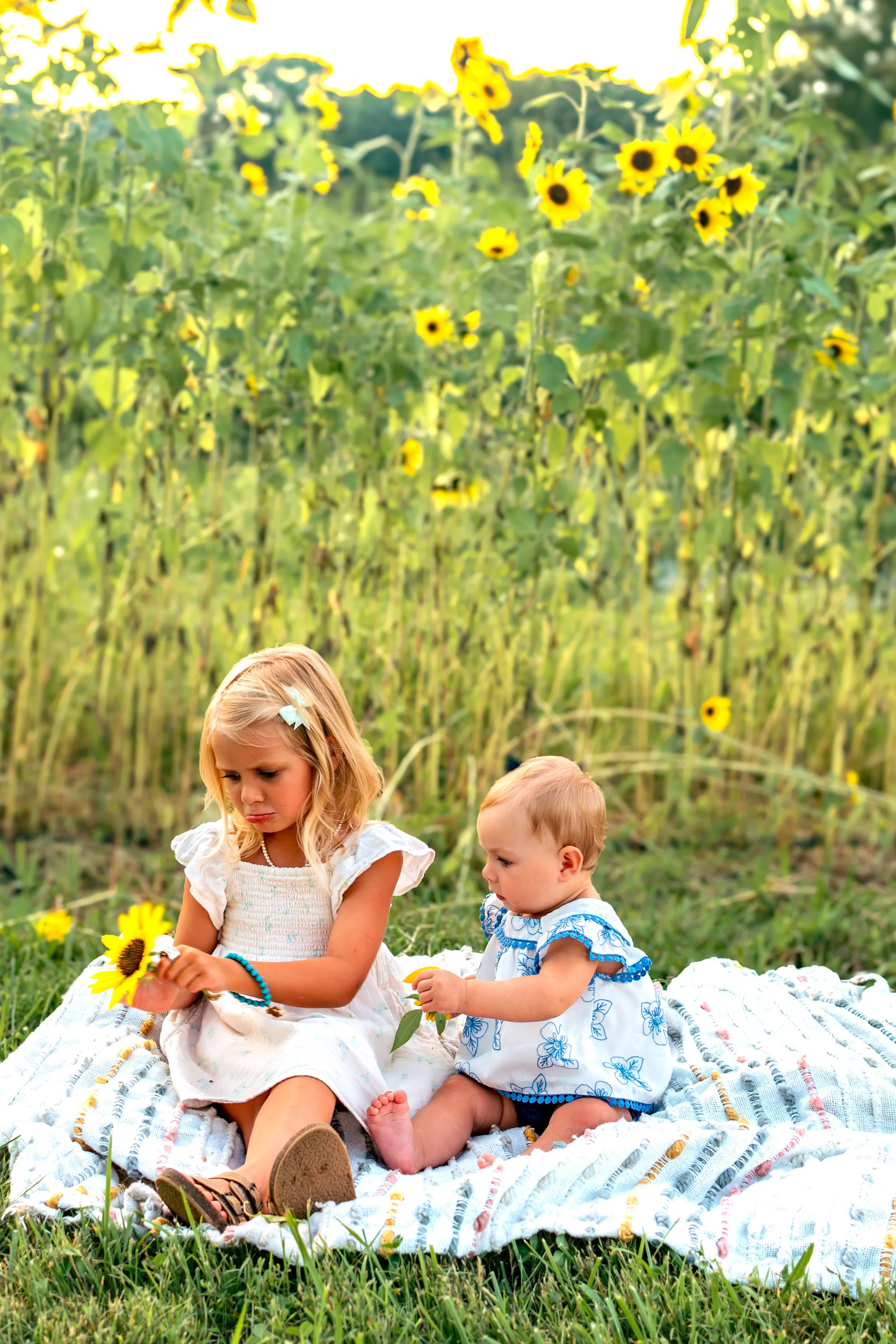 Sladek Sunflower-89.jpg