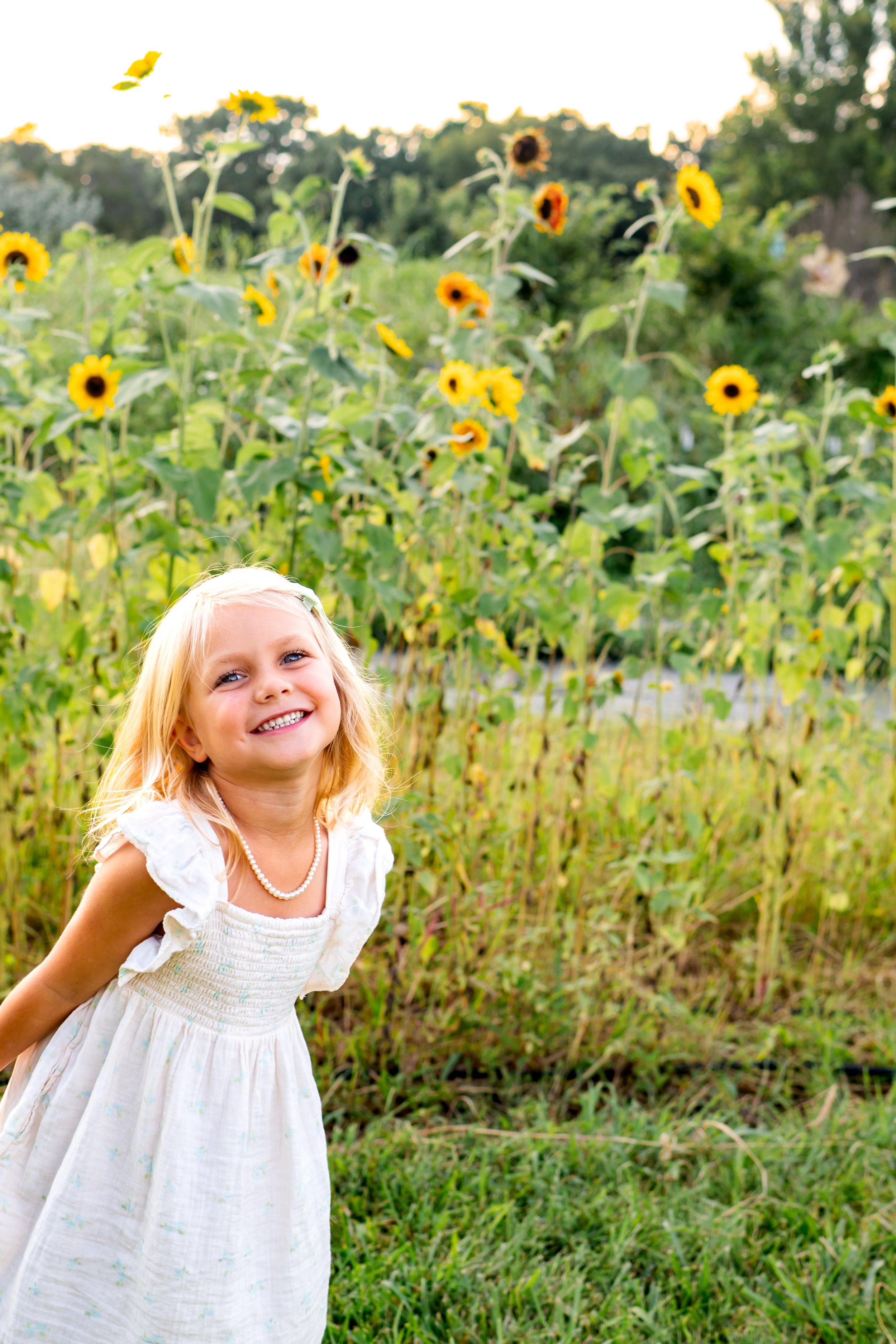 Sladek Sunflower-18.jpg